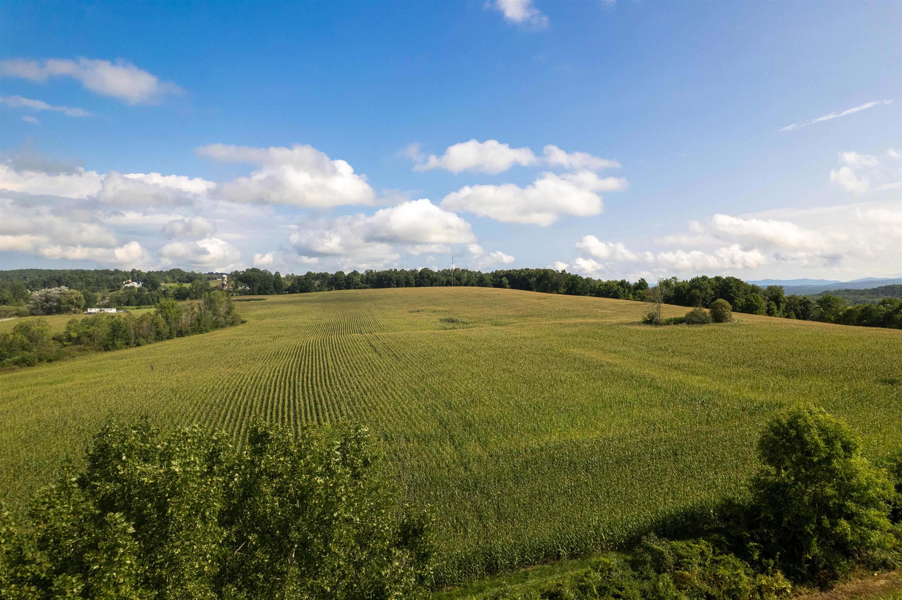 1298 Stage Road Property Photo 36