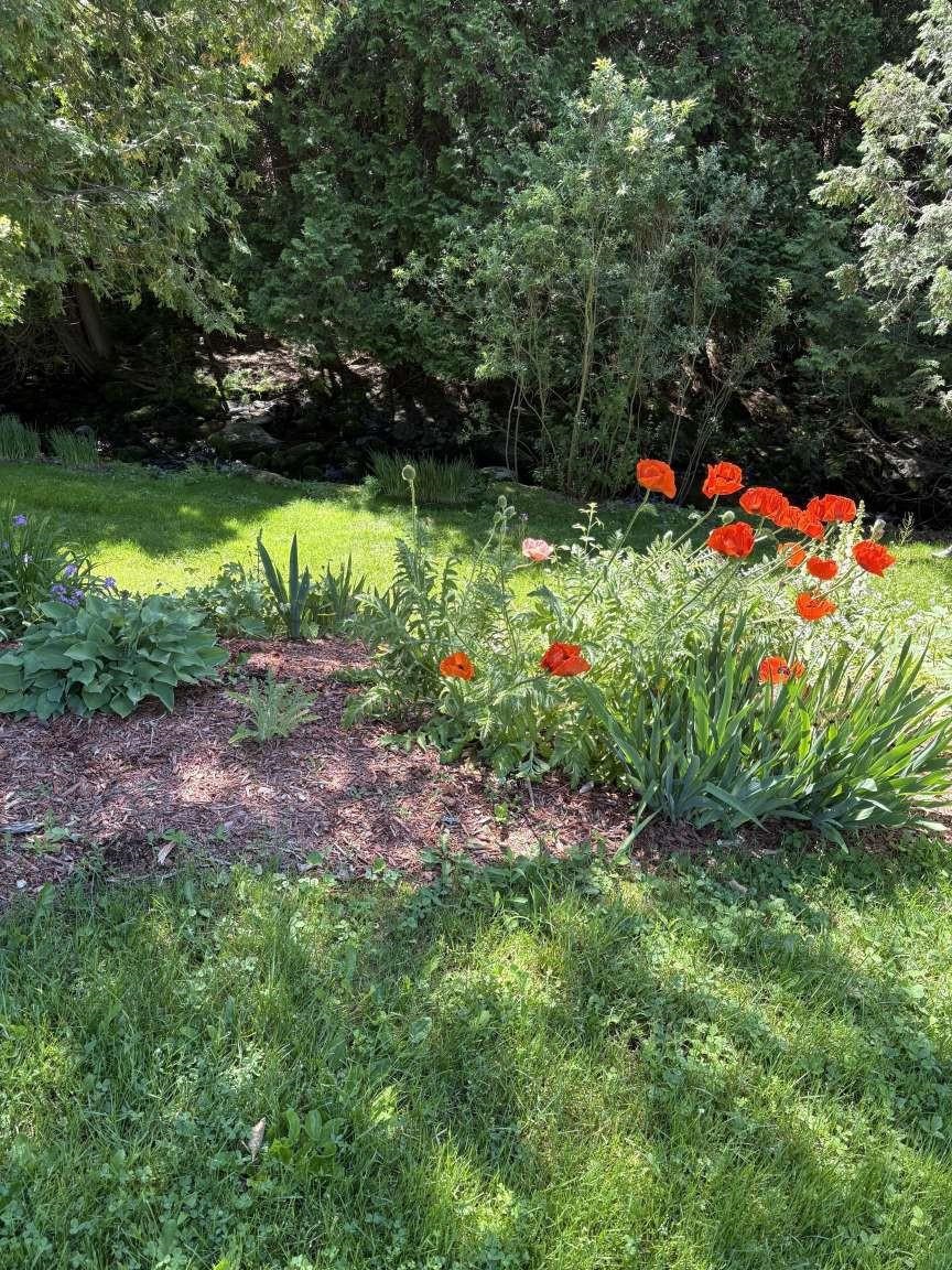 13 Austin Road Property Photo 11