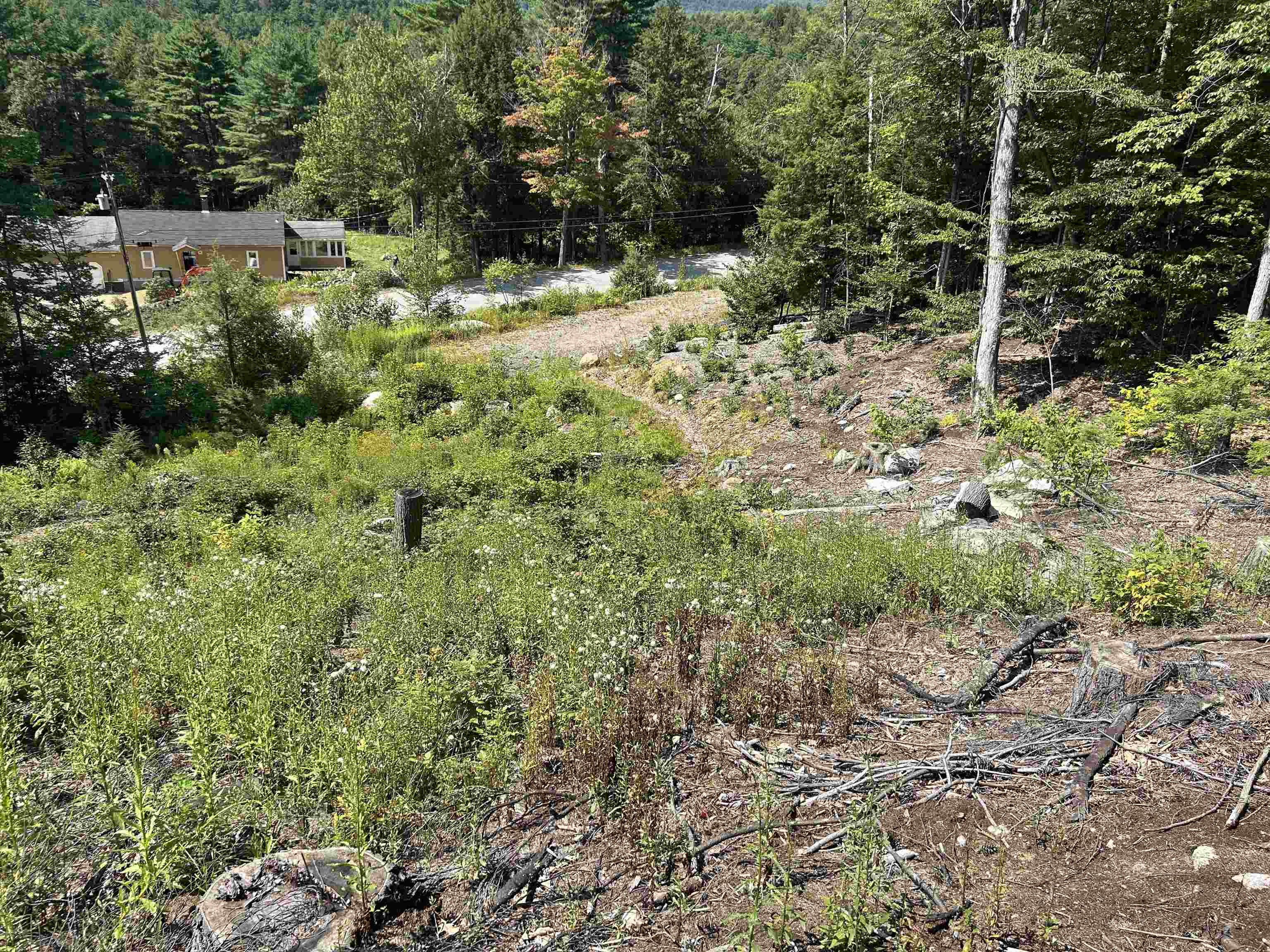 543 Thorn Hill Road Property Photo 5