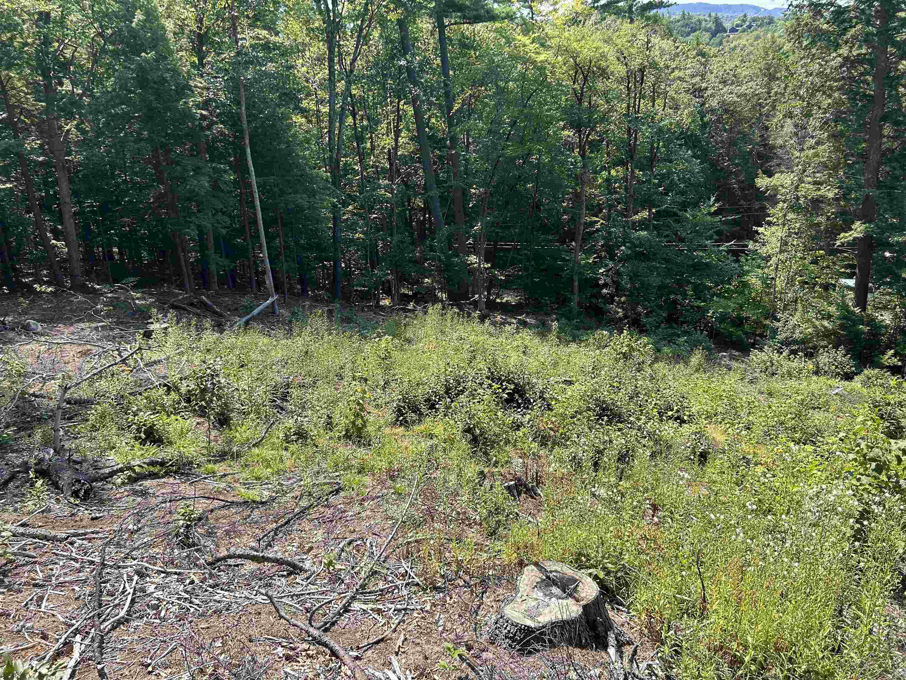 543 Thorn Hill Road Property Photo 6