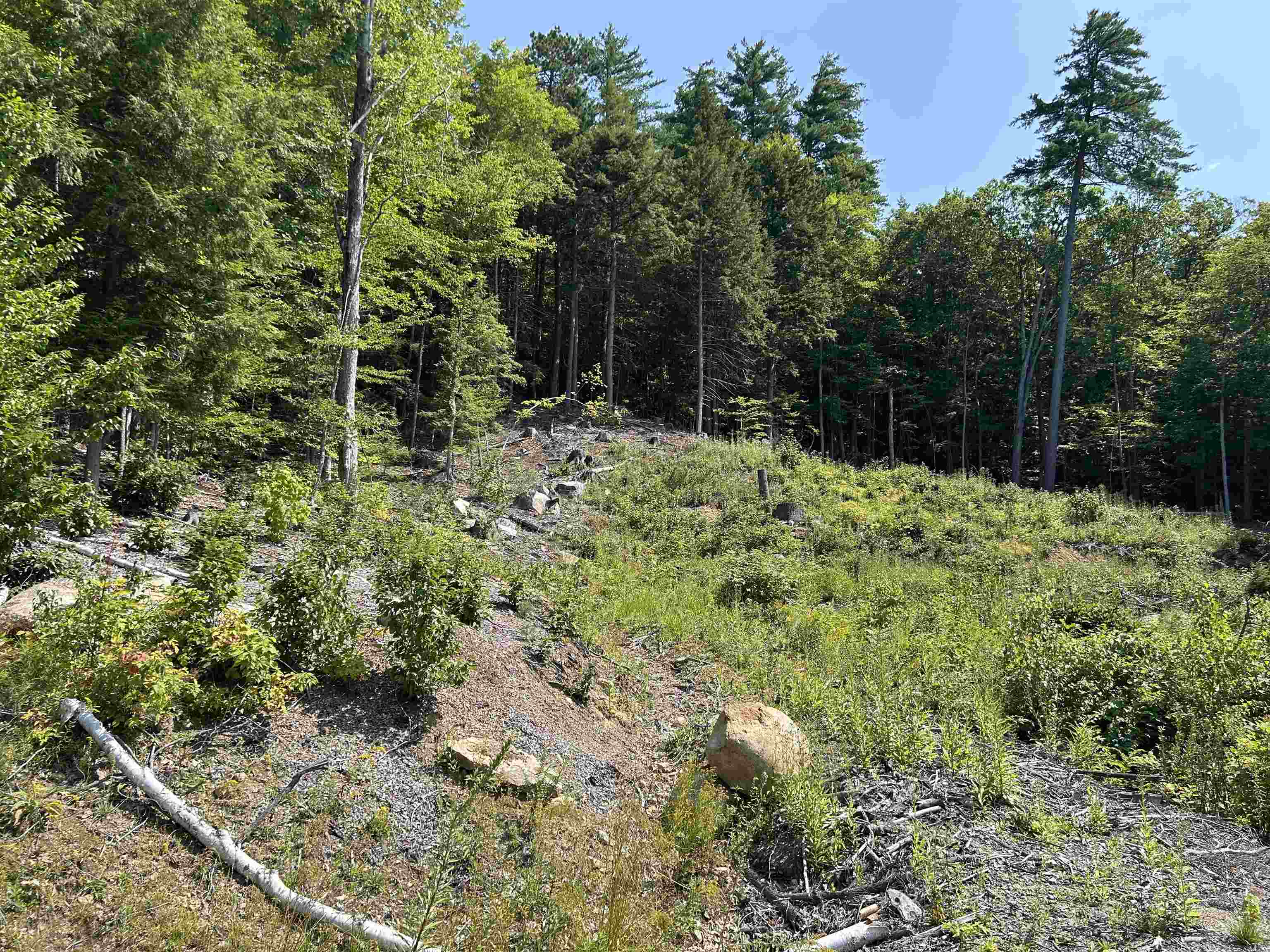 543 Thorn Hill Road Property Photo 14