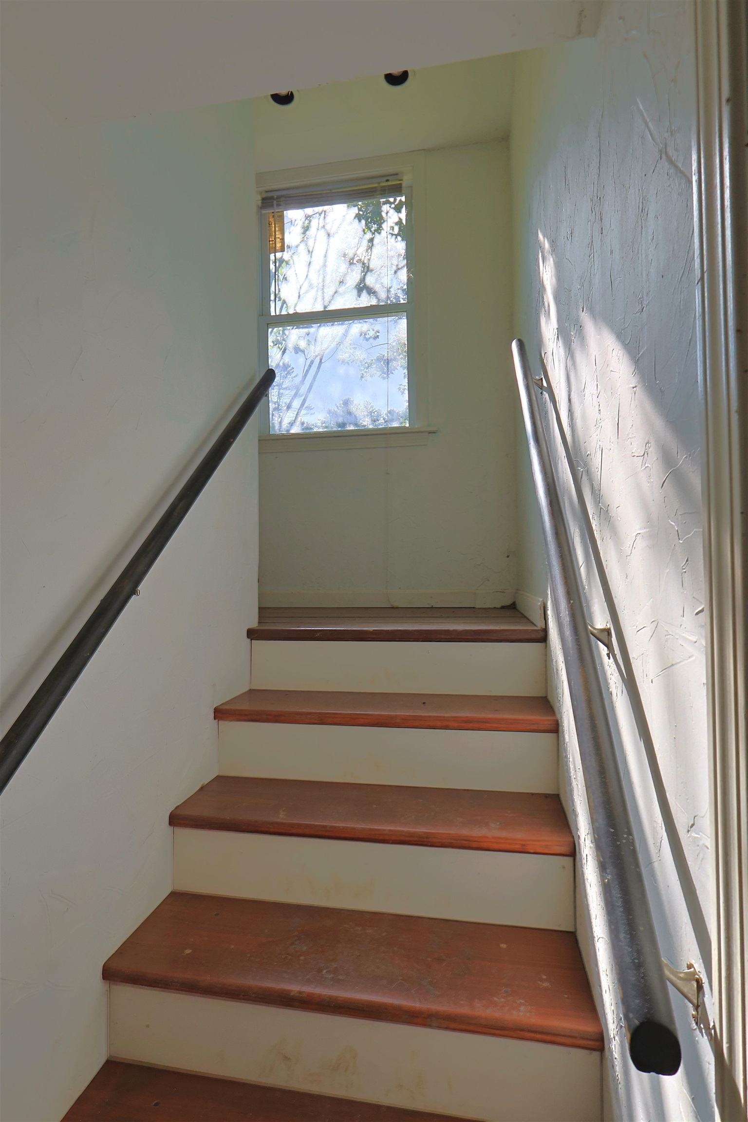 86 Brownsville Road Property Photo 24