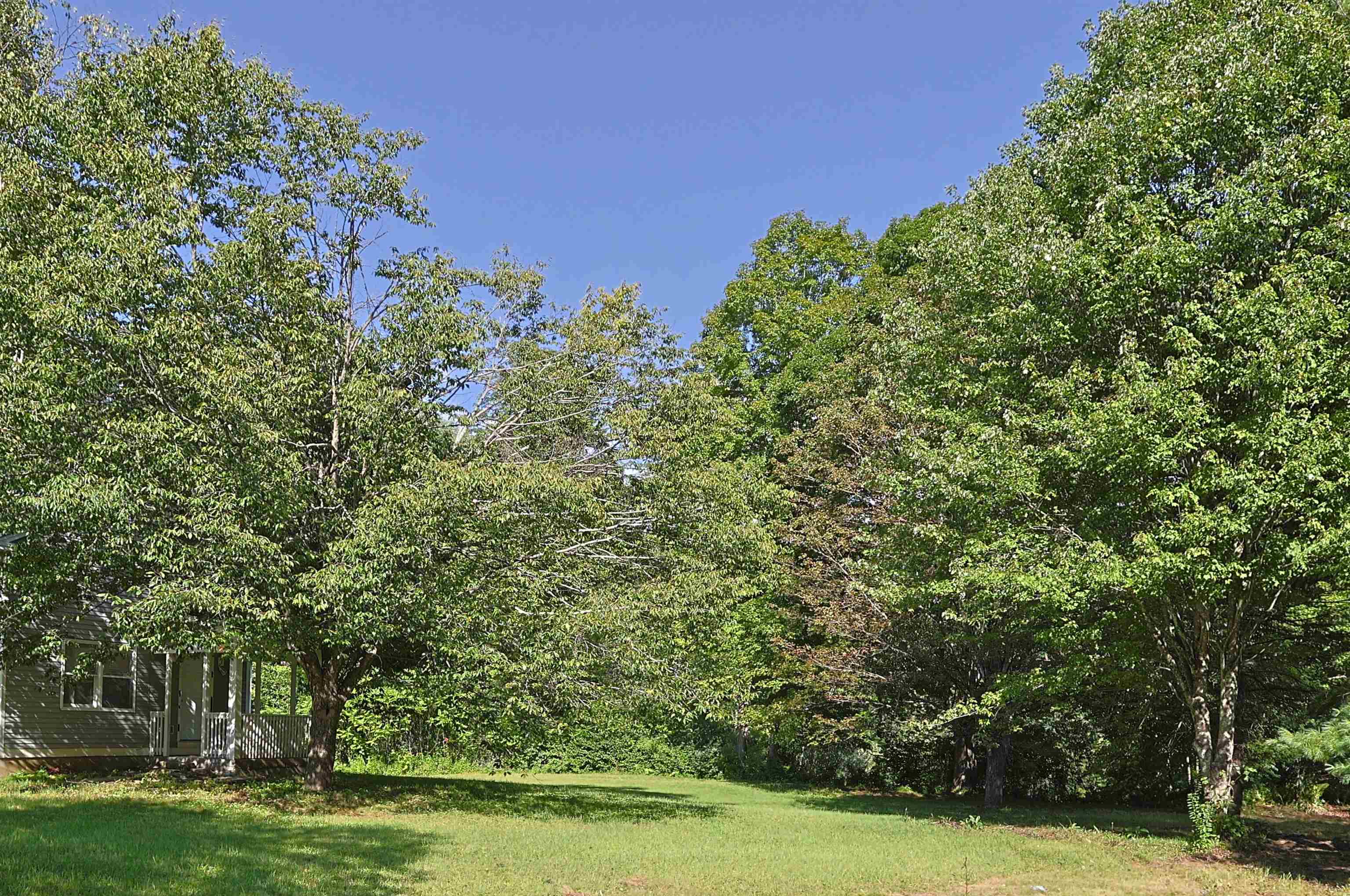 86 Brownsville Road Property Photo 47