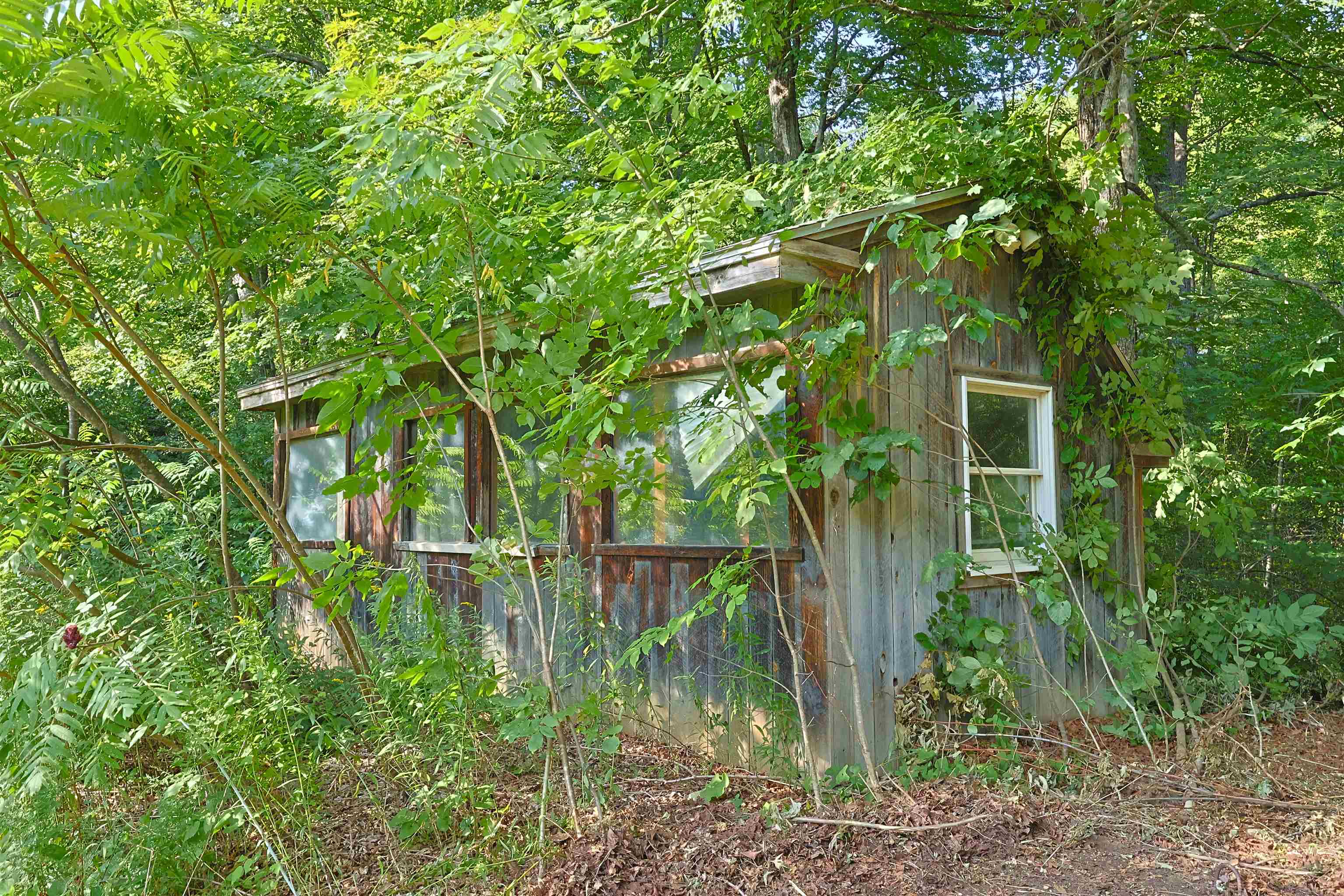 86 Brownsville Road Property Photo 49