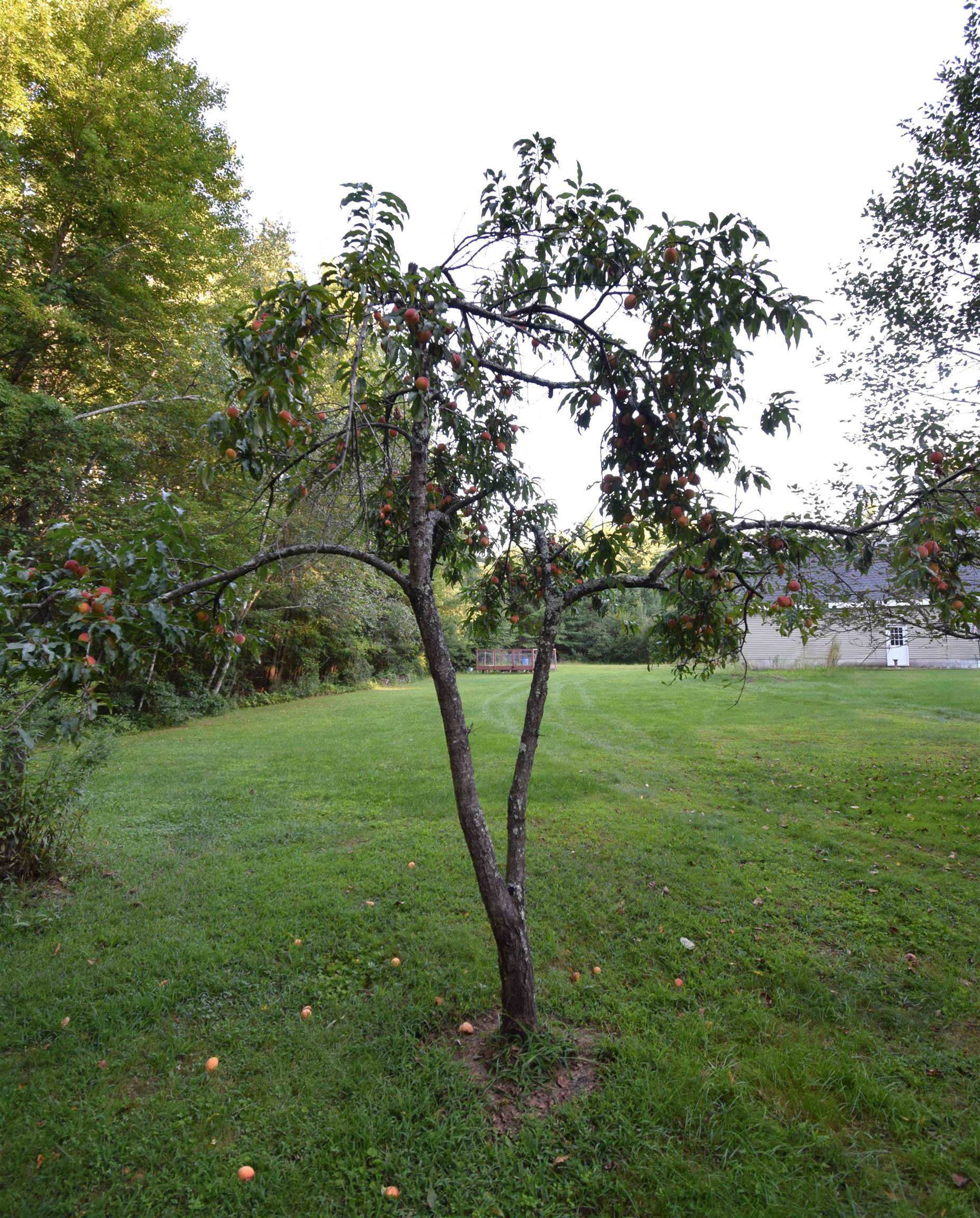 287 Middle Road Property Photo 47