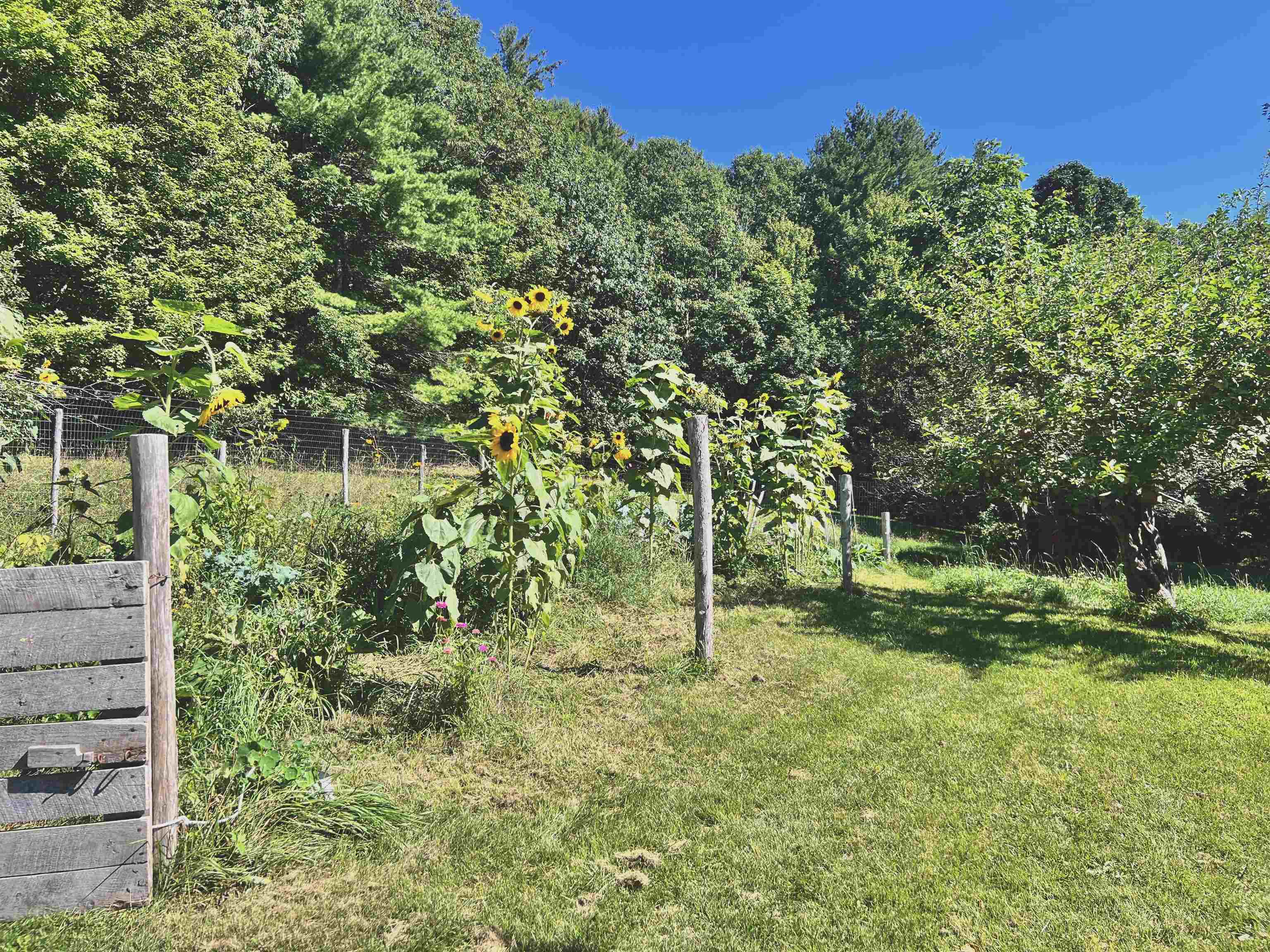 575 Somers Road Property Photo 47