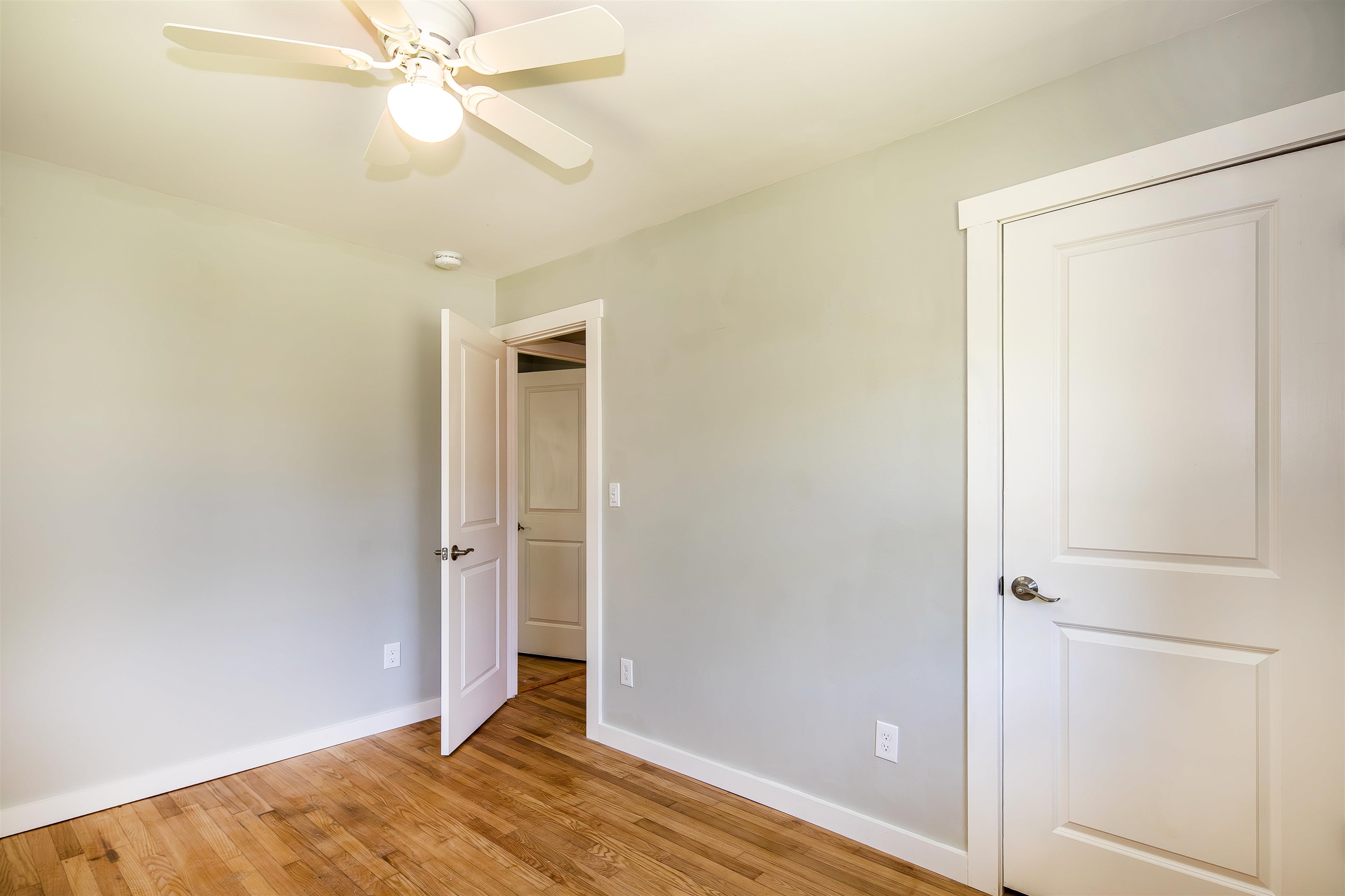 39 Williams Street Property Photo 15