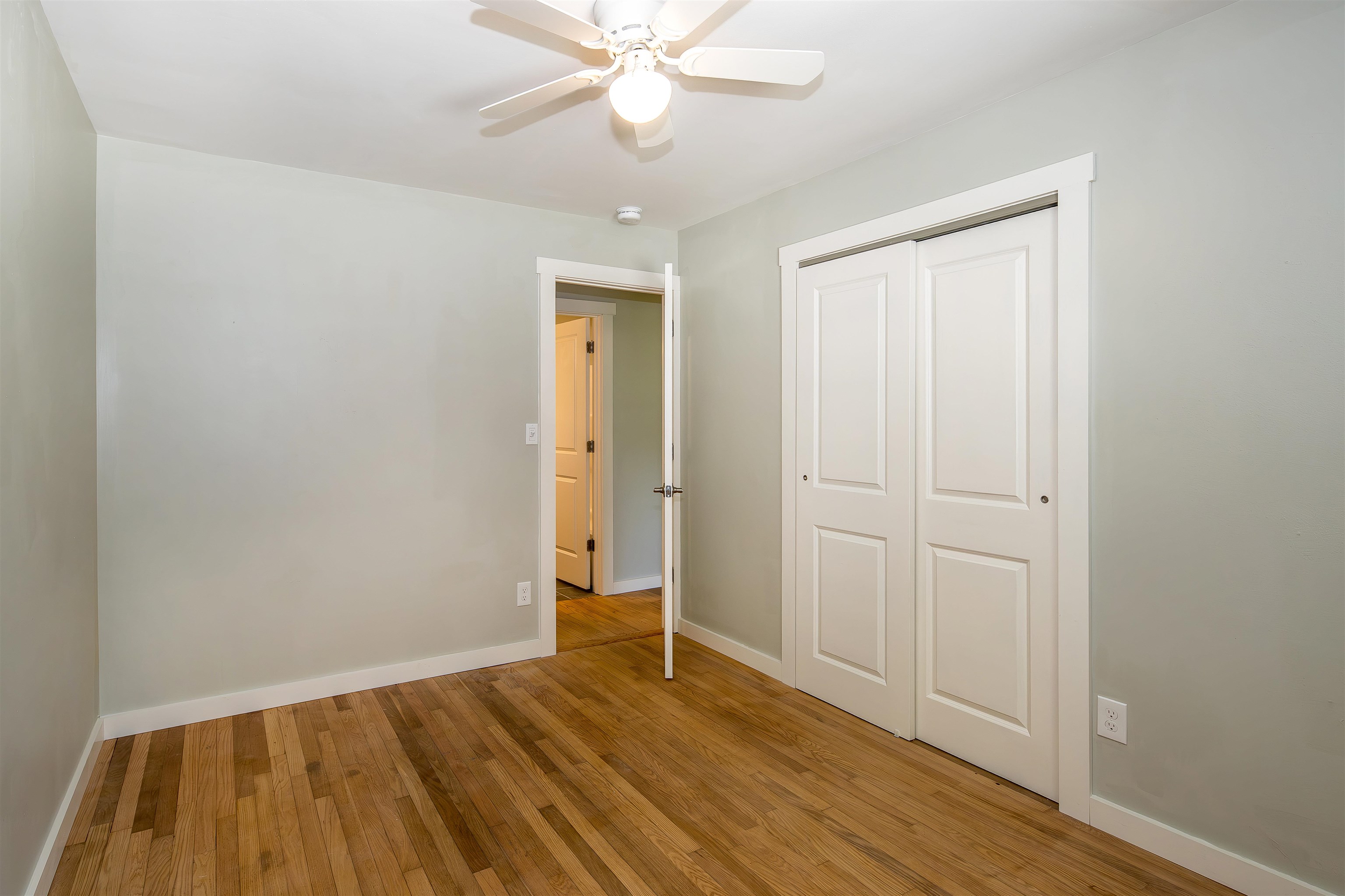 39 Williams Street Property Photo 20