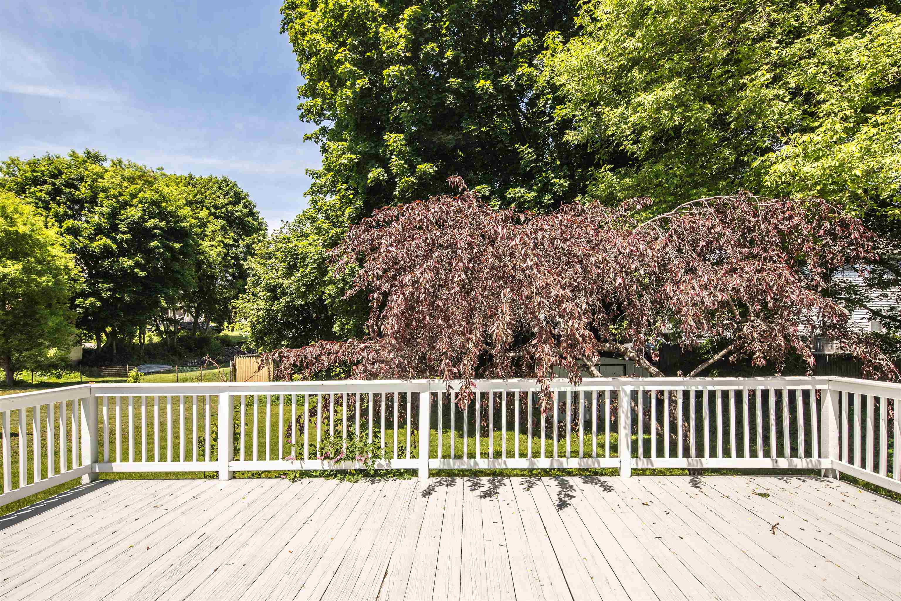 39 Williams Street Property Photo 25