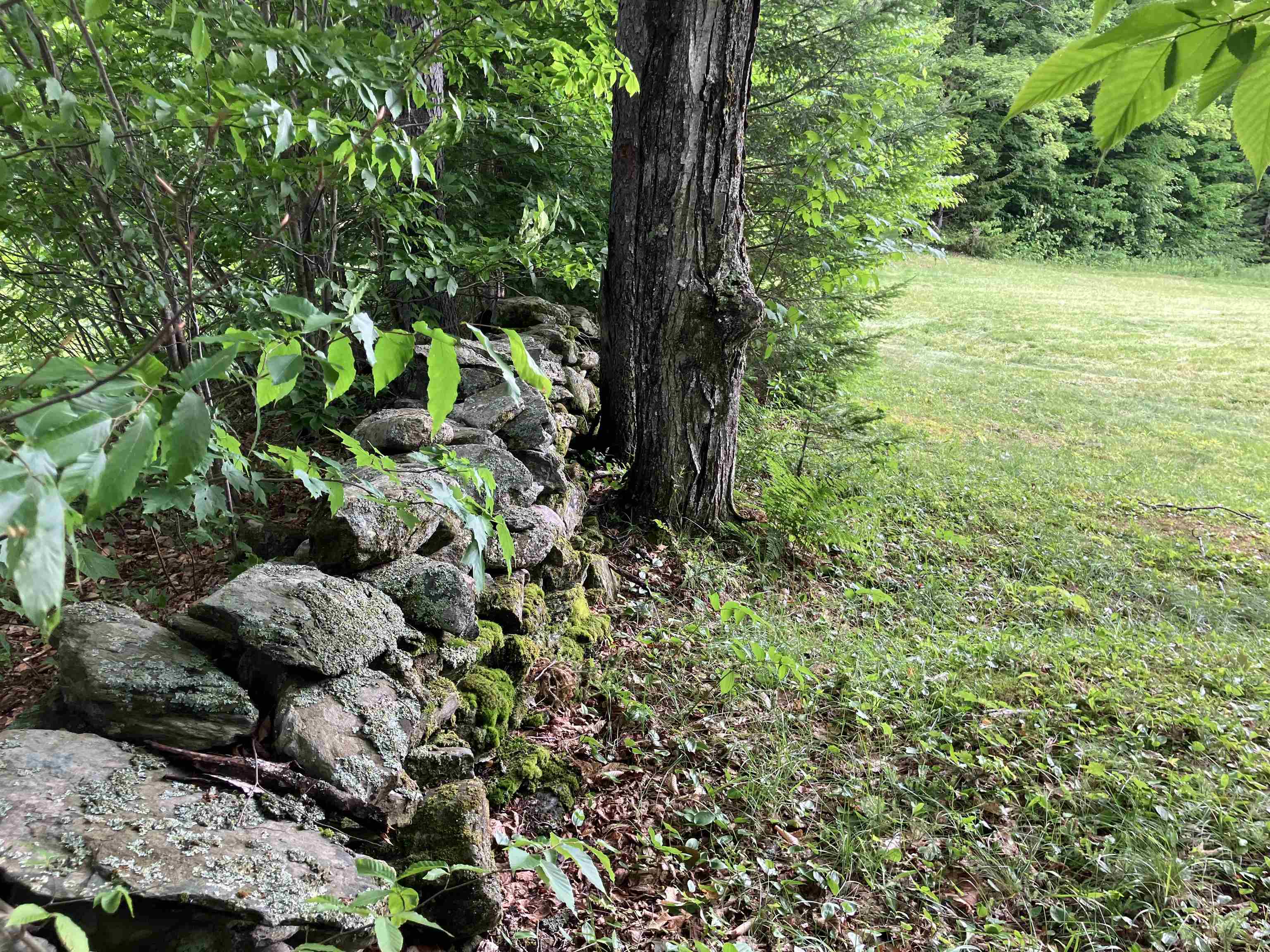 571 Wheeler Road Property Photo 3