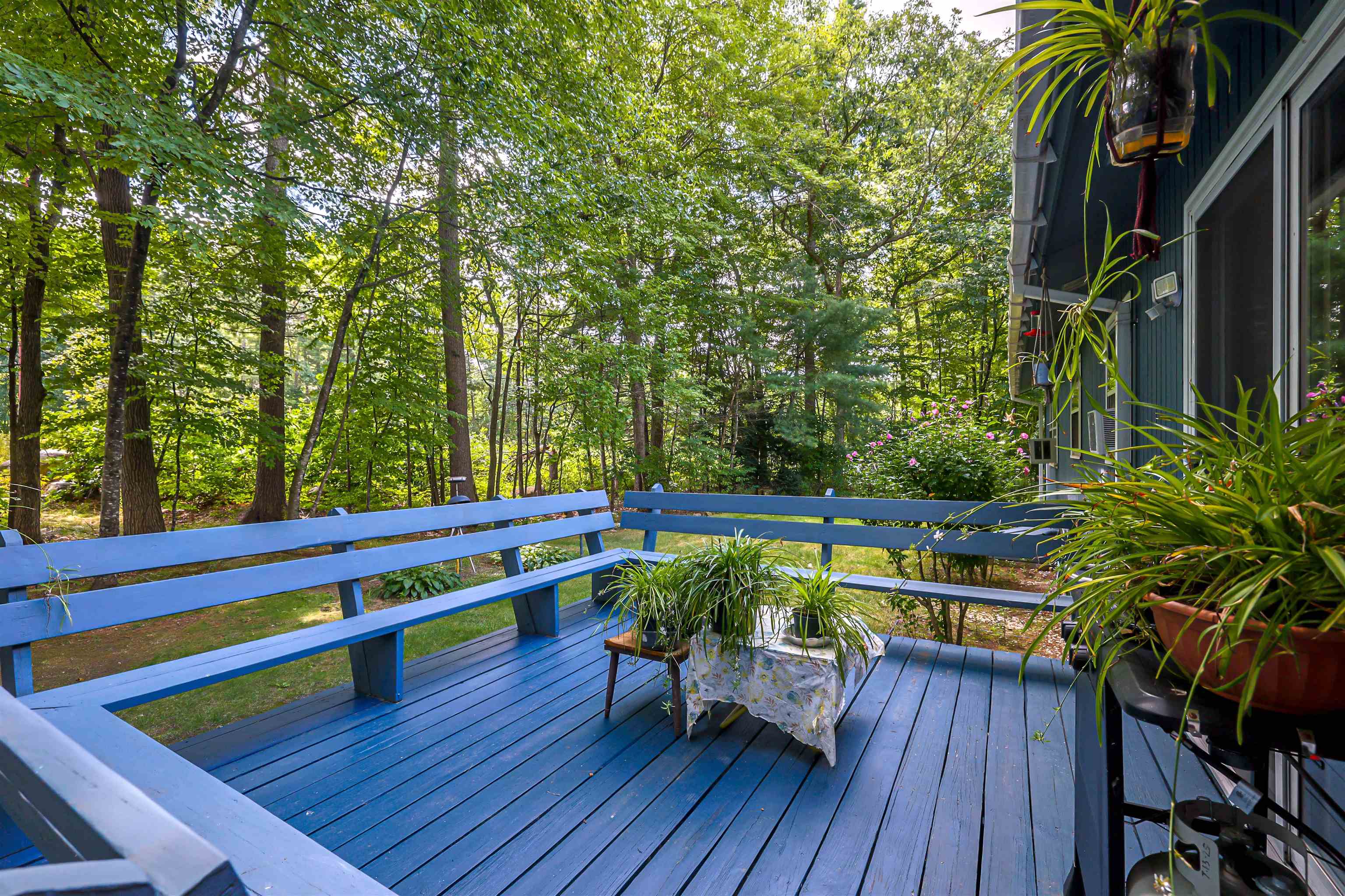19 Comstock Drive Property Photo 25