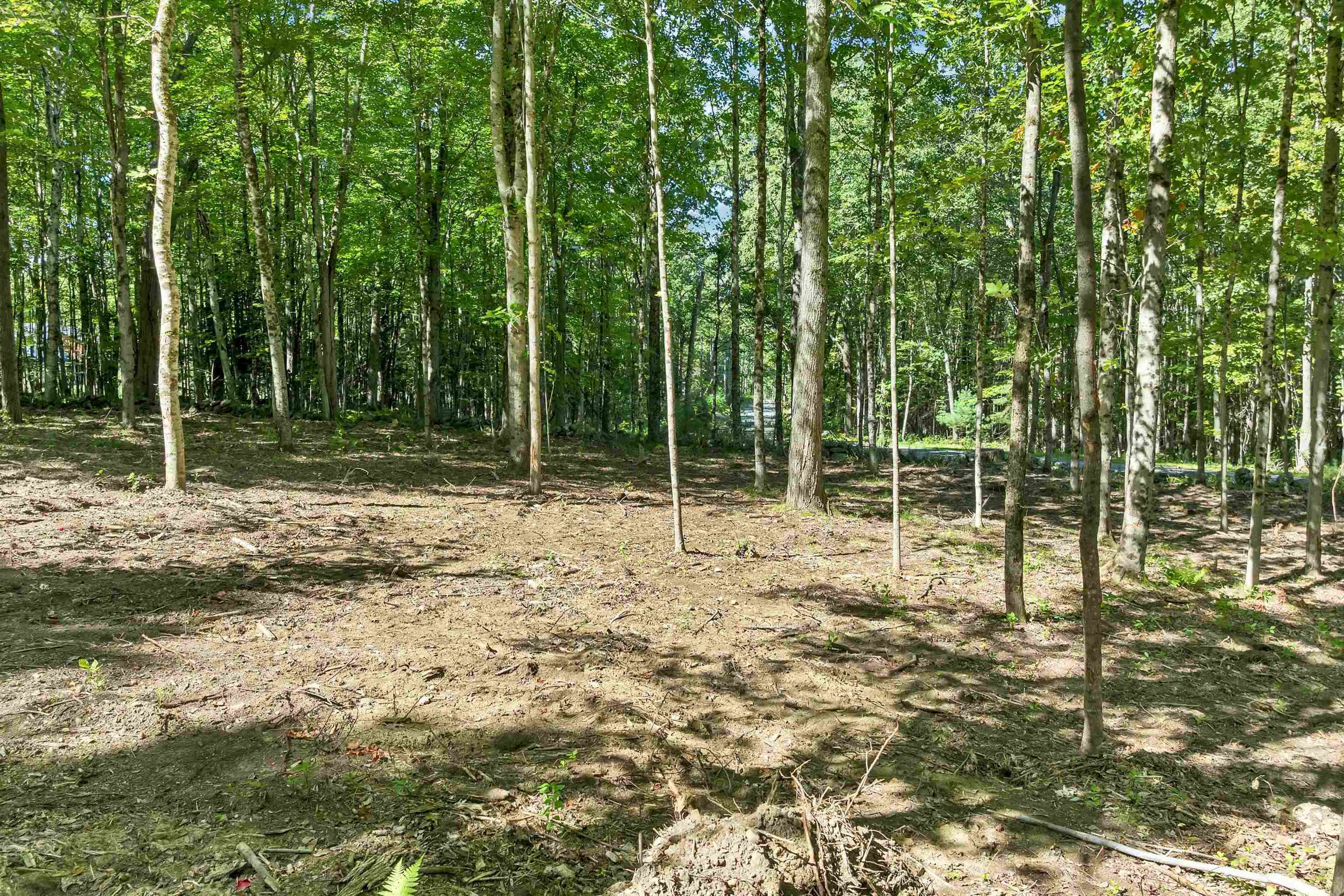 0 Gile Road Property Photo 6