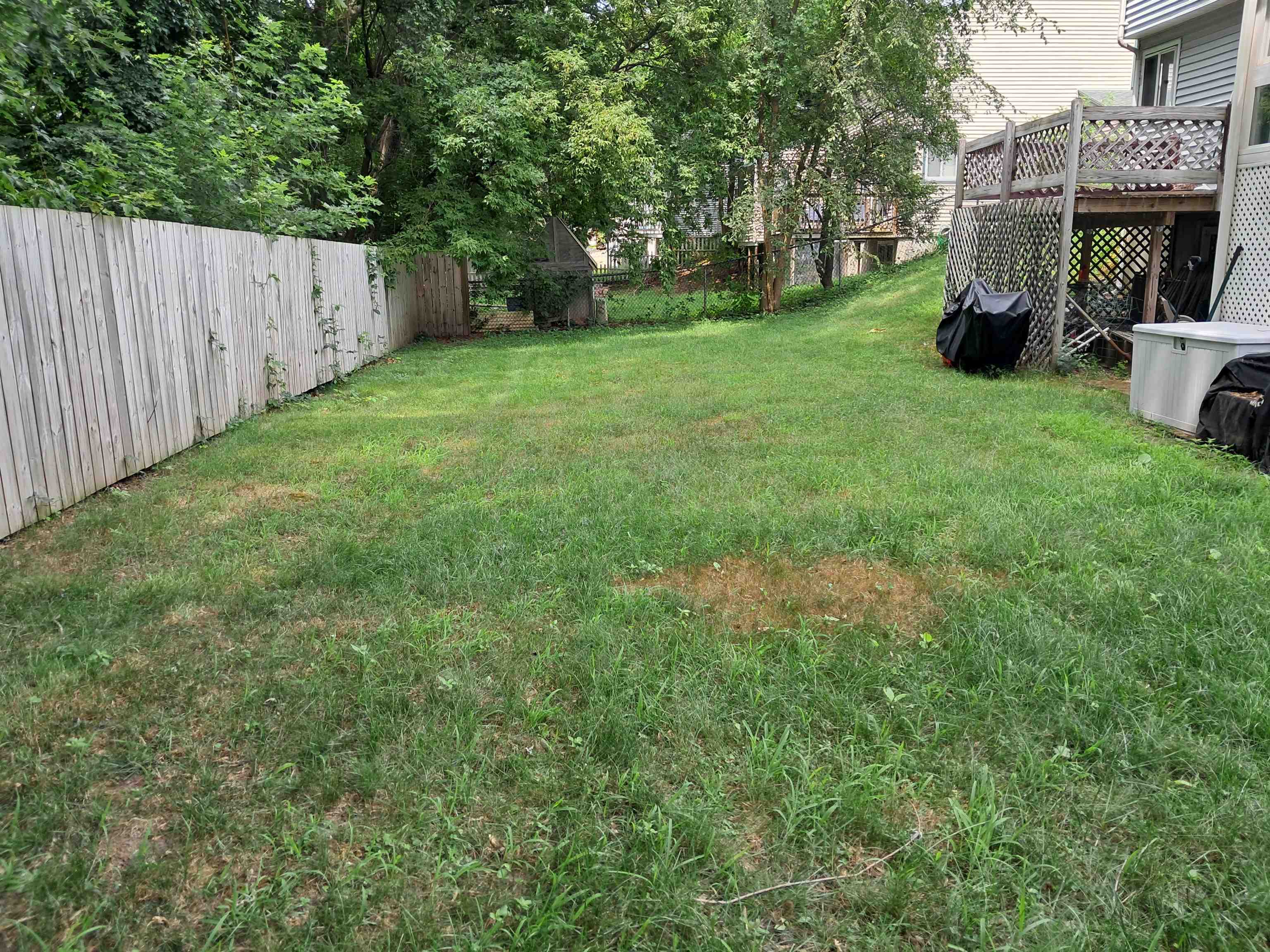 28 Paxton Terrace Property Photo 30