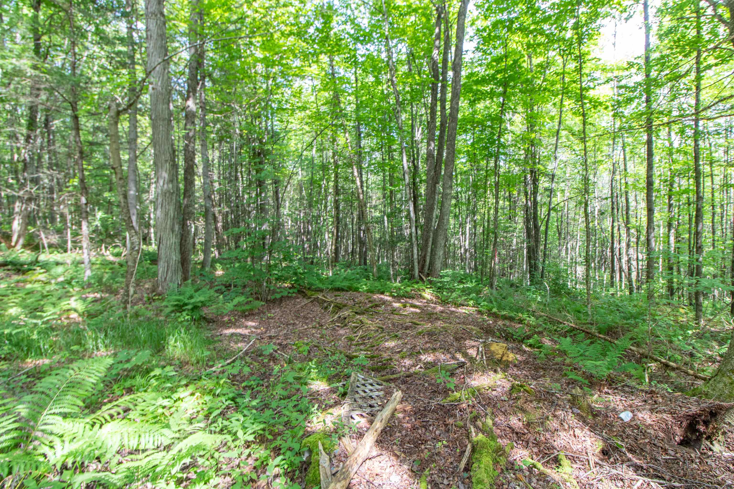 418 Hall Road Property Photo 26