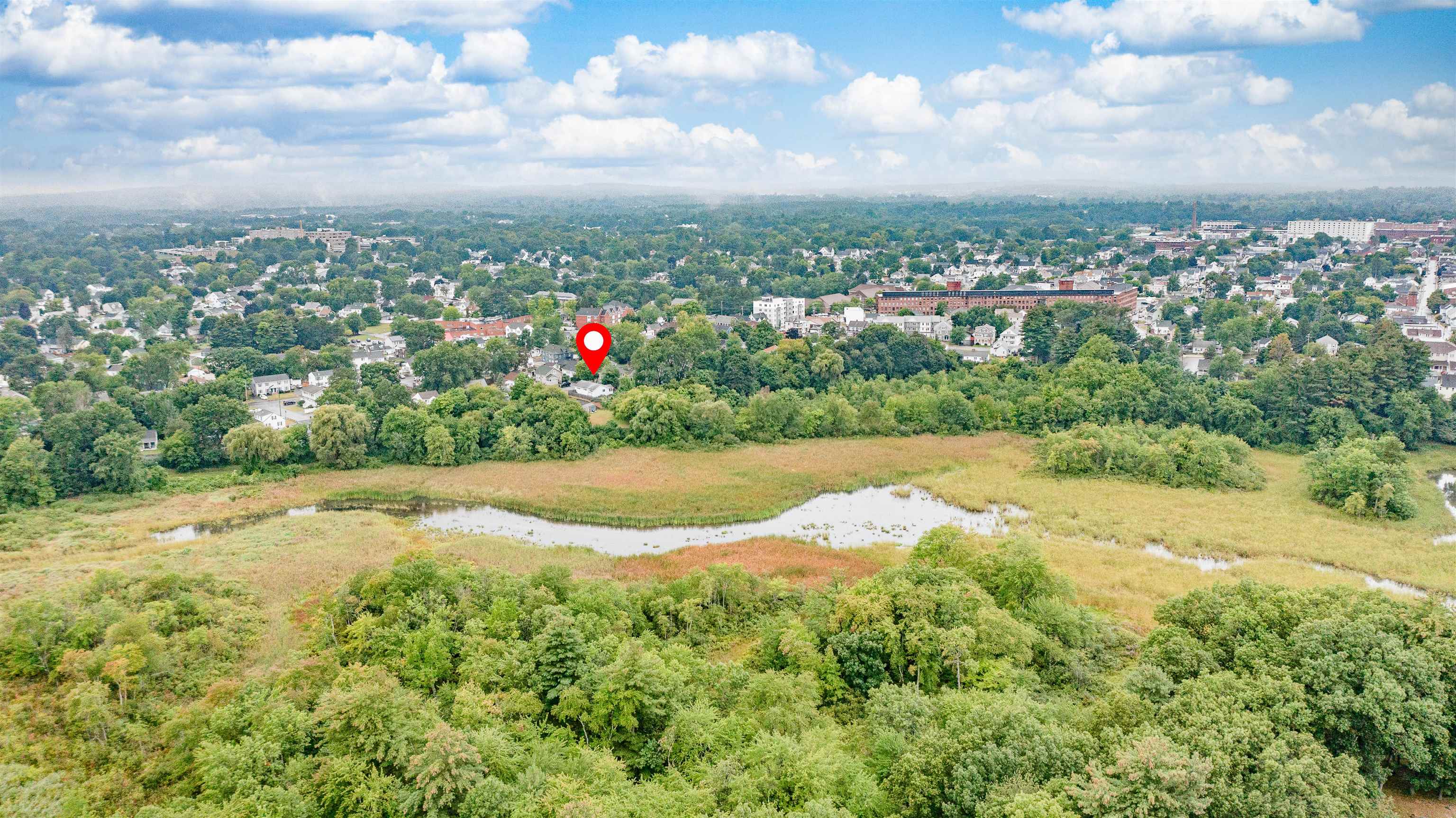 14 3/4 Verona Street Property Photo 19