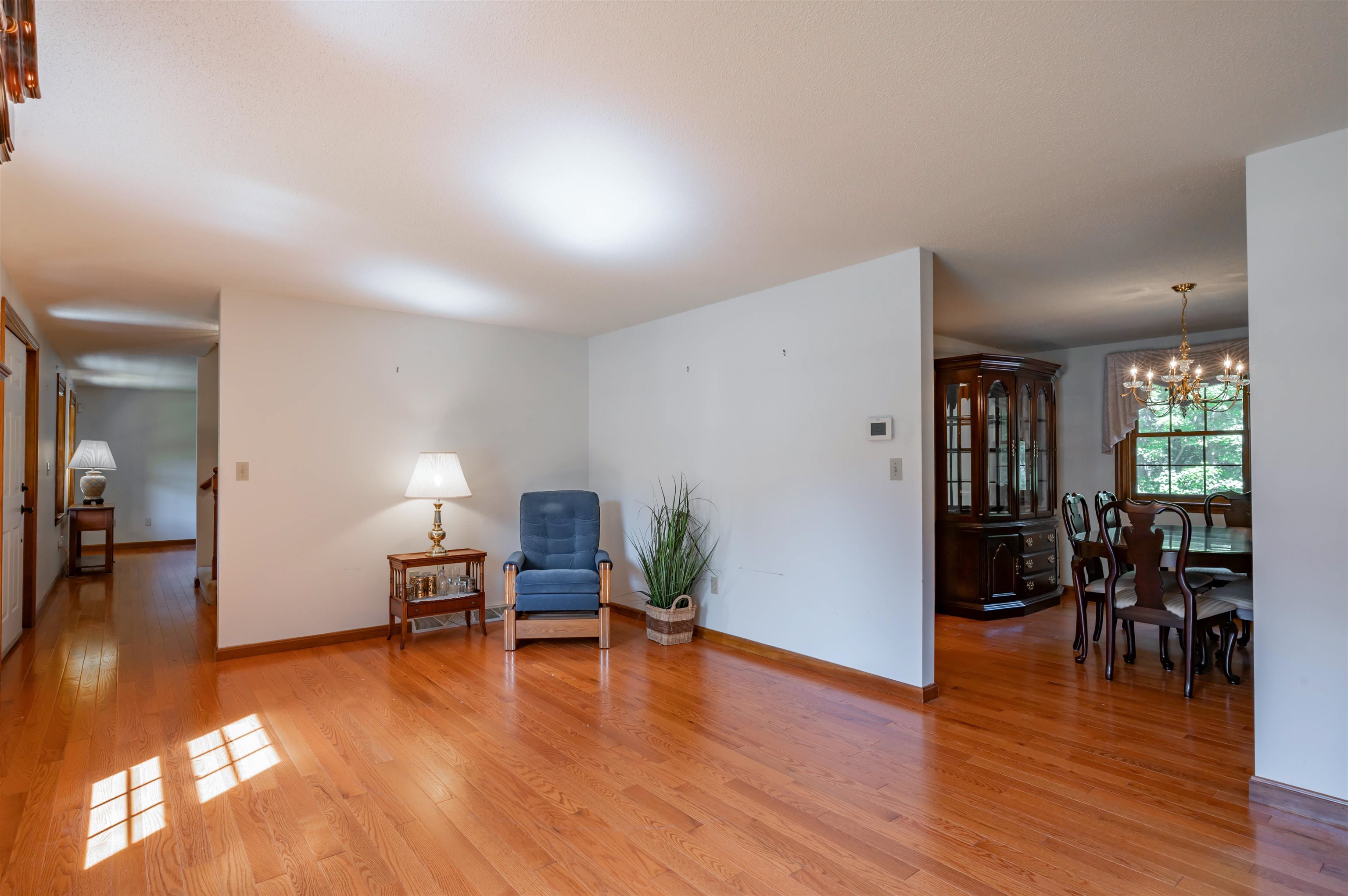 3 Clark Road Property Photo 32