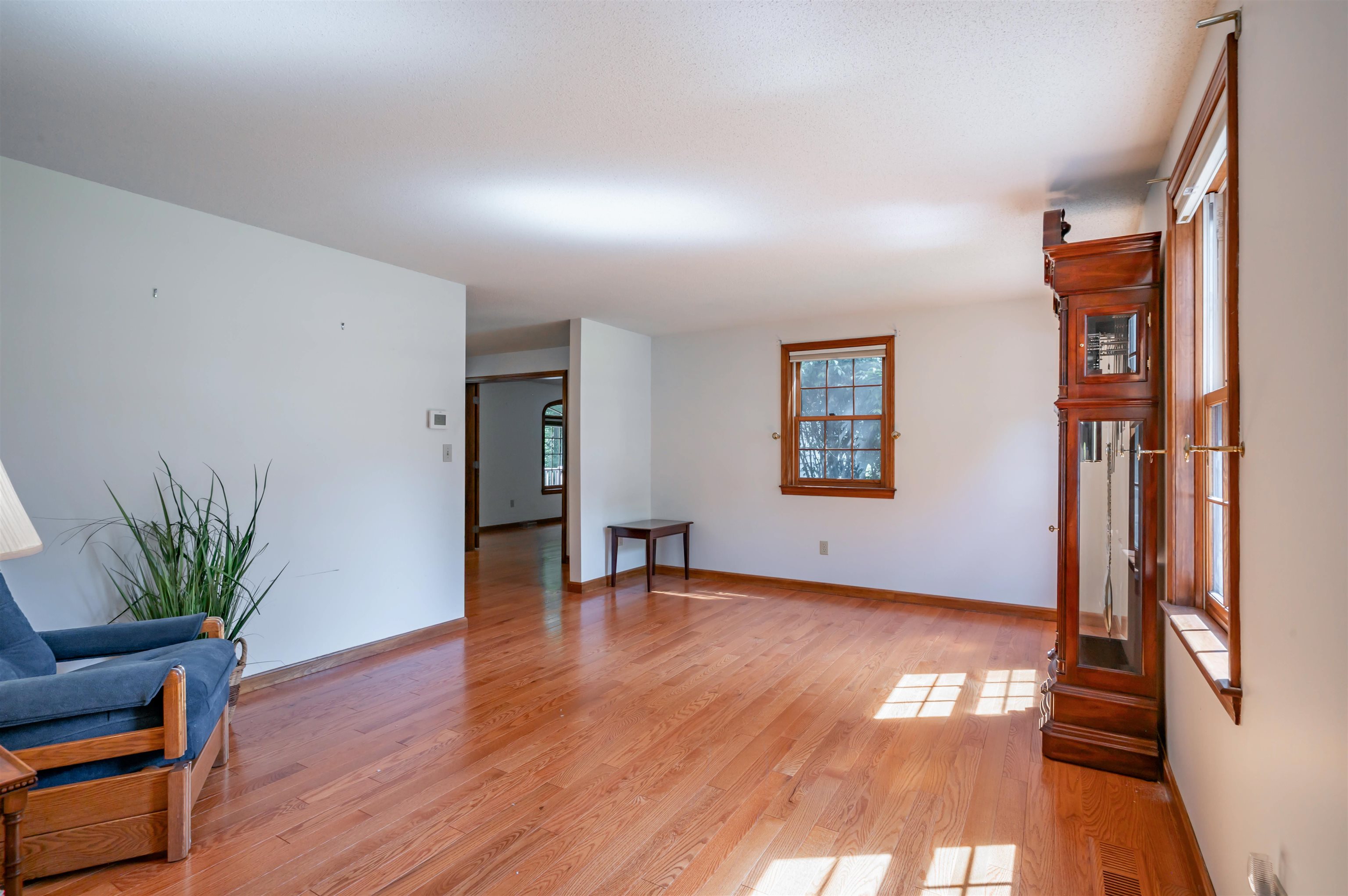 3 Clark Road Property Photo 33