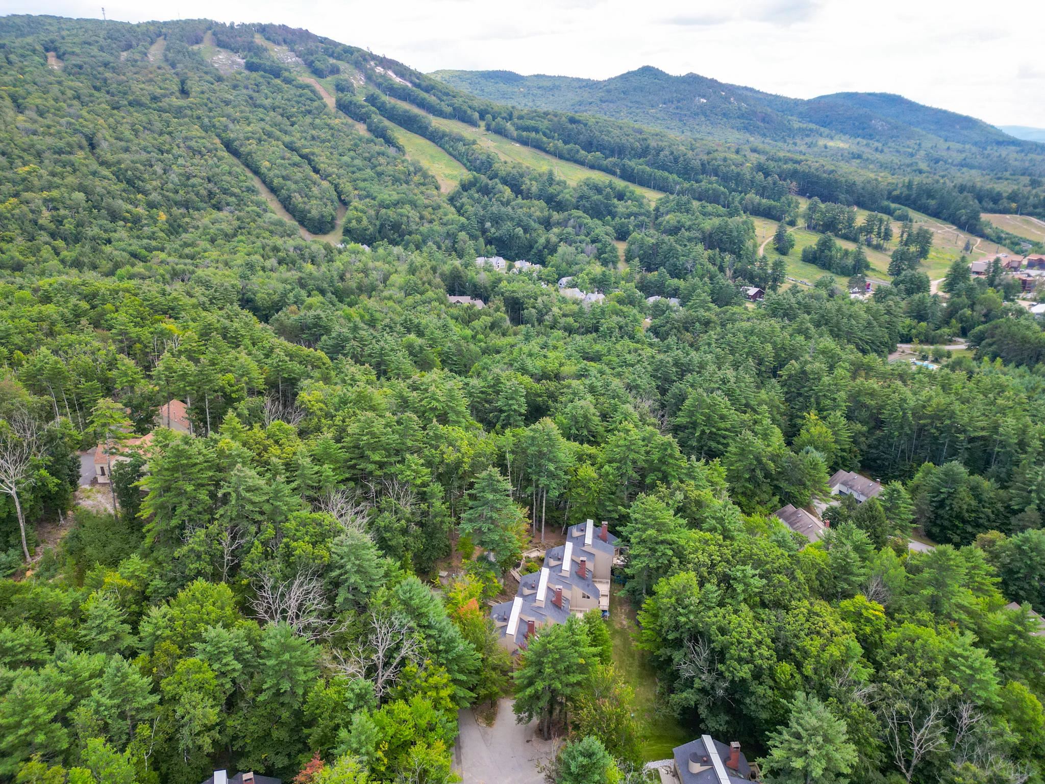 #8 Cranmore Woods Lane Property Photo 5