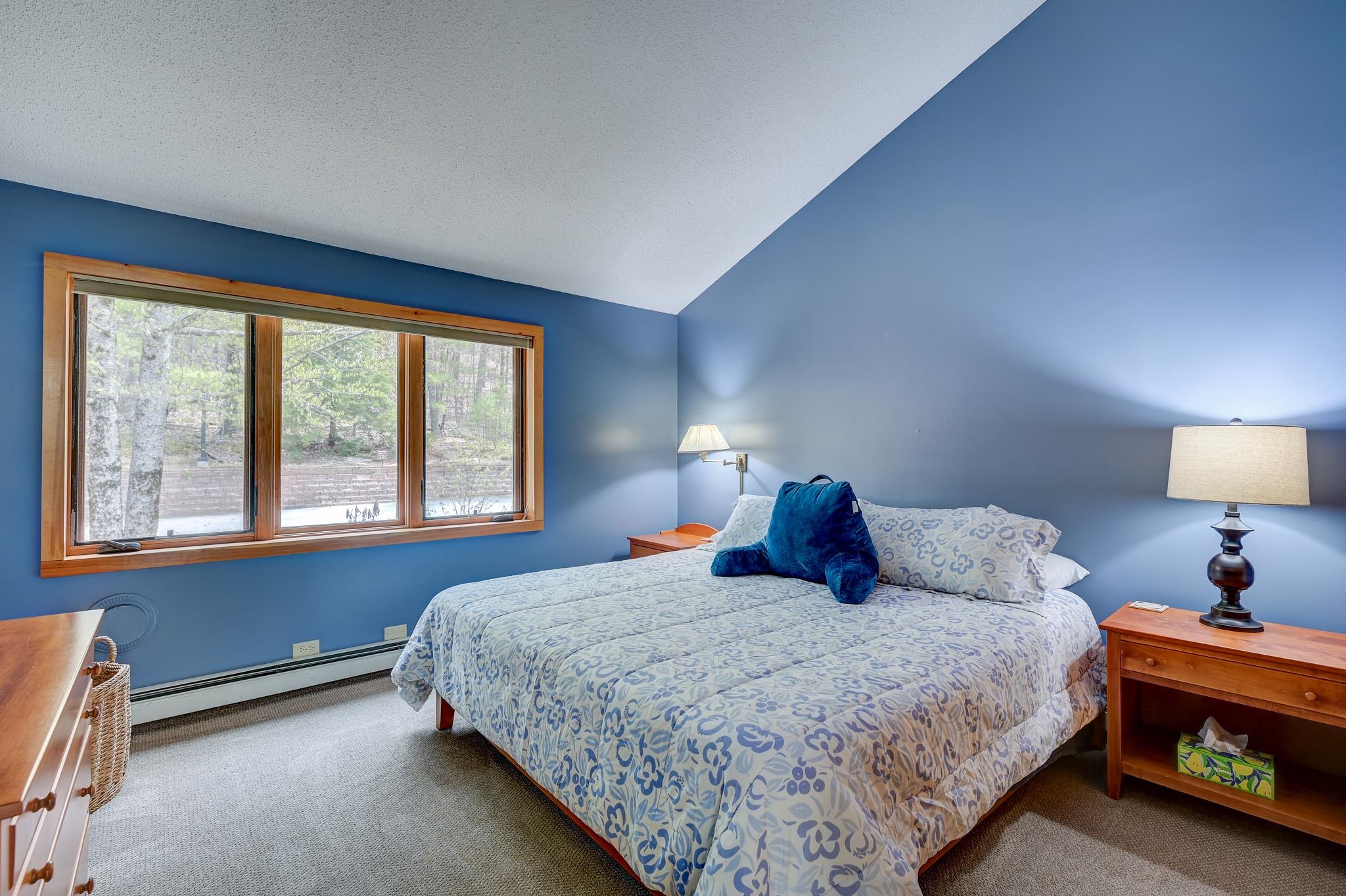 #8 Cranmore Woods Lane Property Photo 32