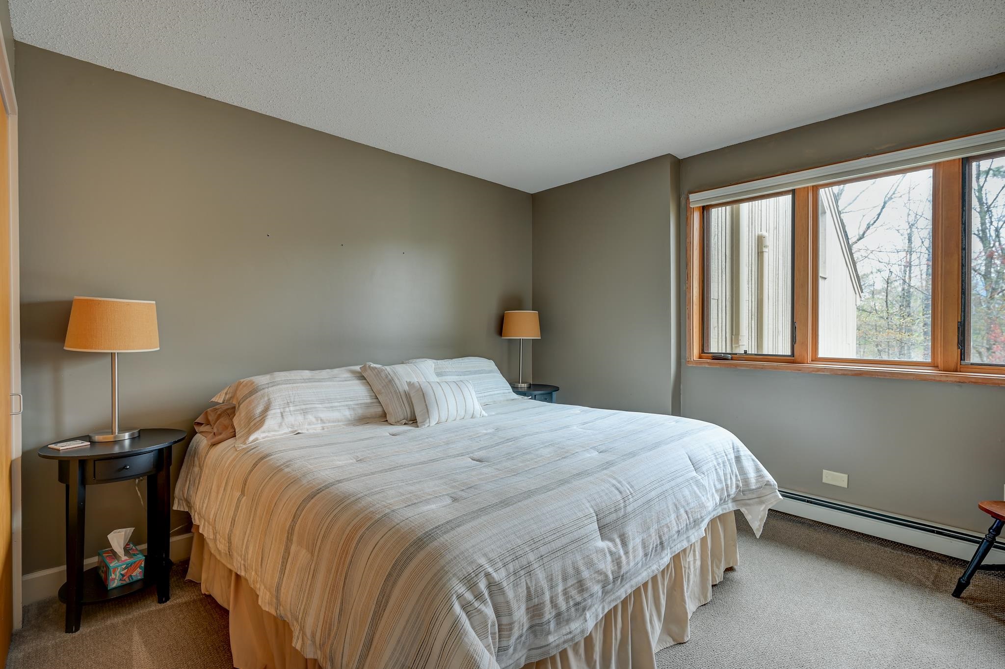 #8 Cranmore Woods Lane Property Photo 37