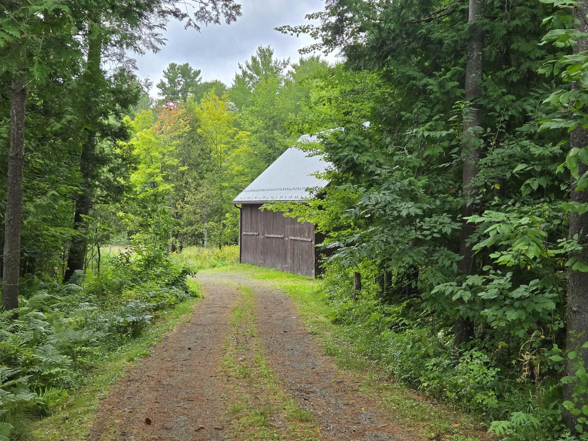 5391 Loop Road Property Photo 35