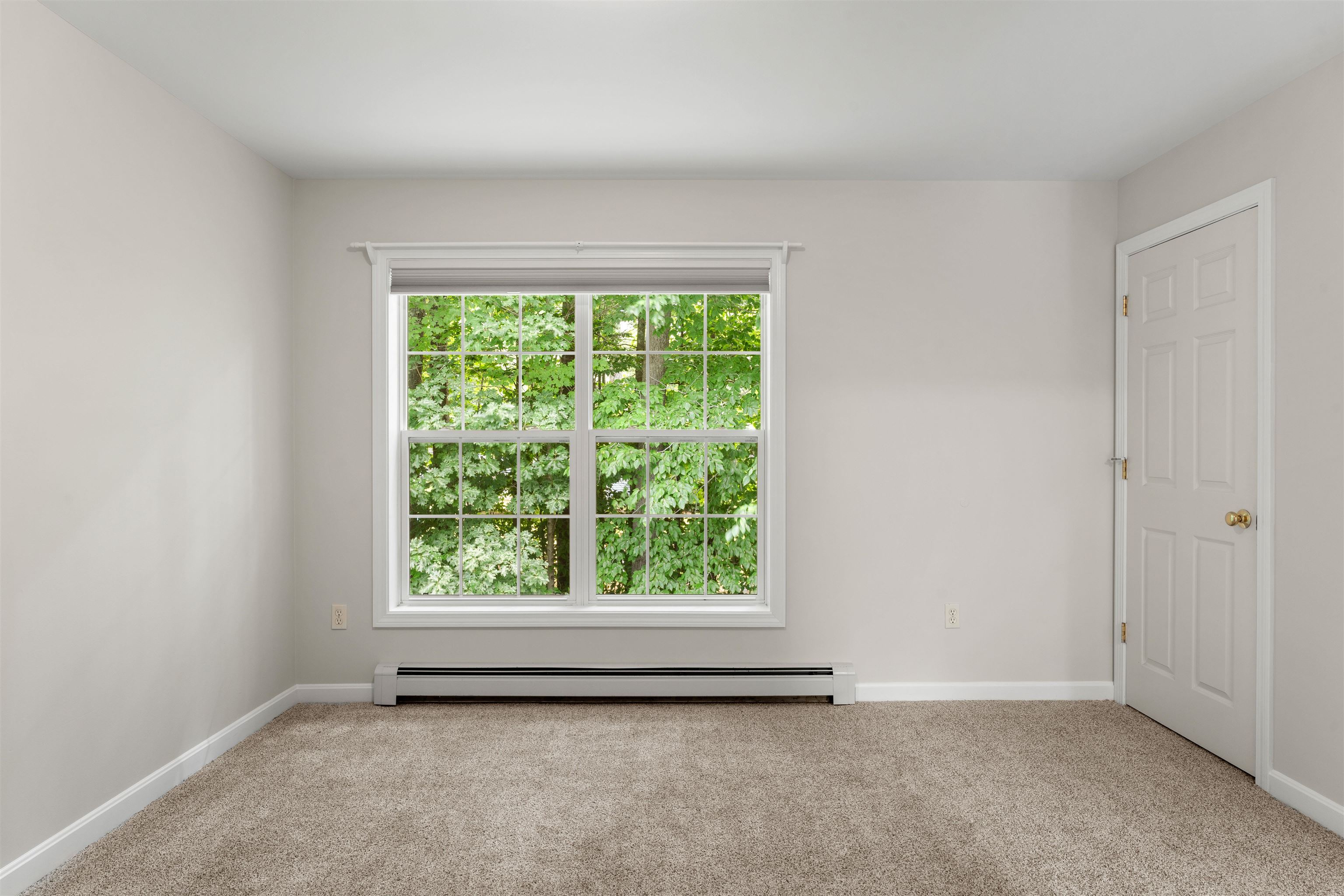 24 Mulberry Hill Road Property Photo 36