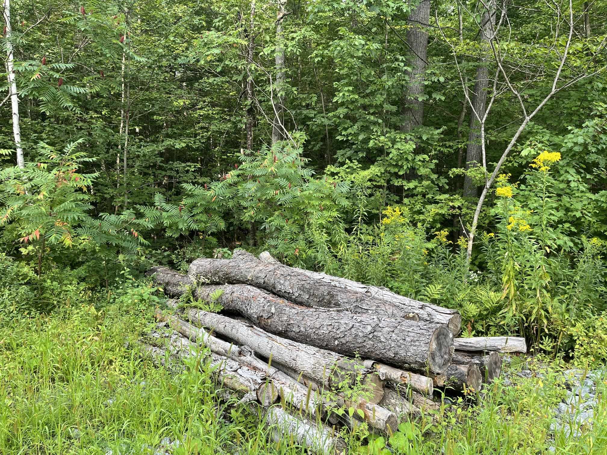 00 Pratt Bridge Road Property Photo 11