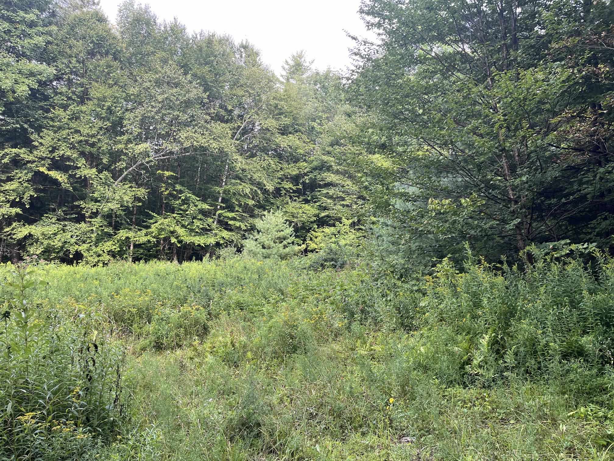 00 Pratt Bridge Road Property Photo 12