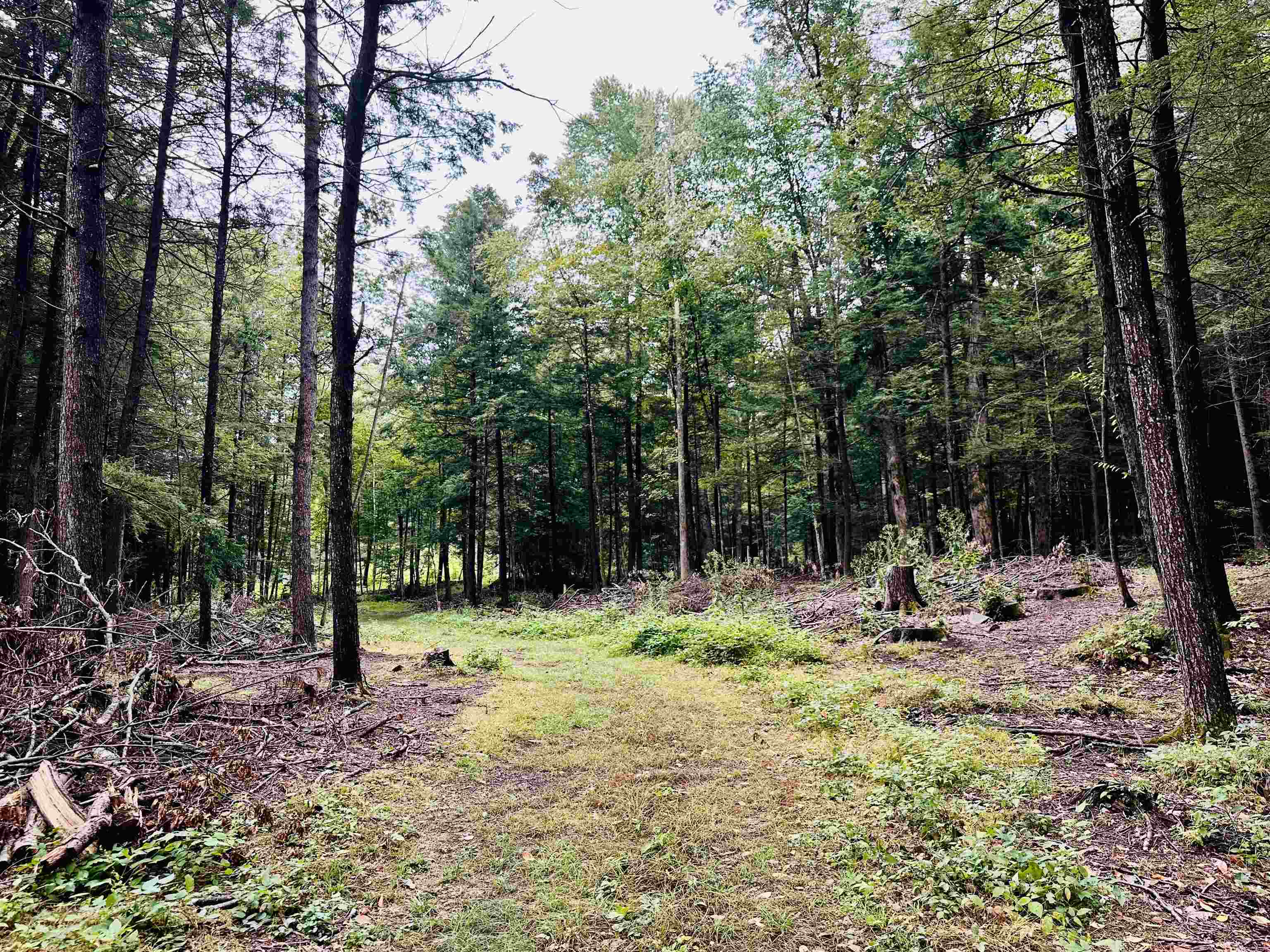 0 Marlboro Road Property Photo 1
