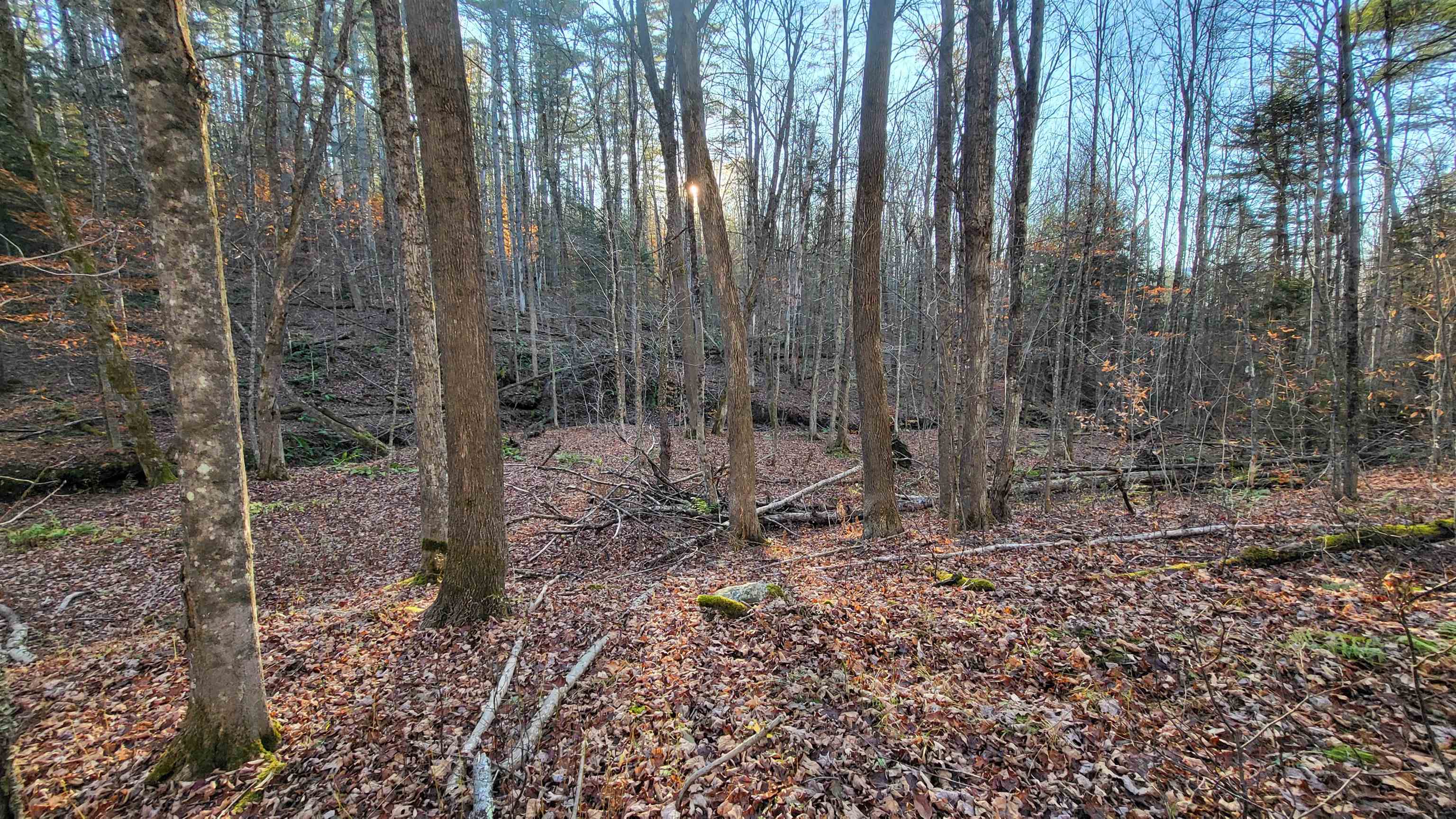 535 Collar Hill Road Property Photo 4