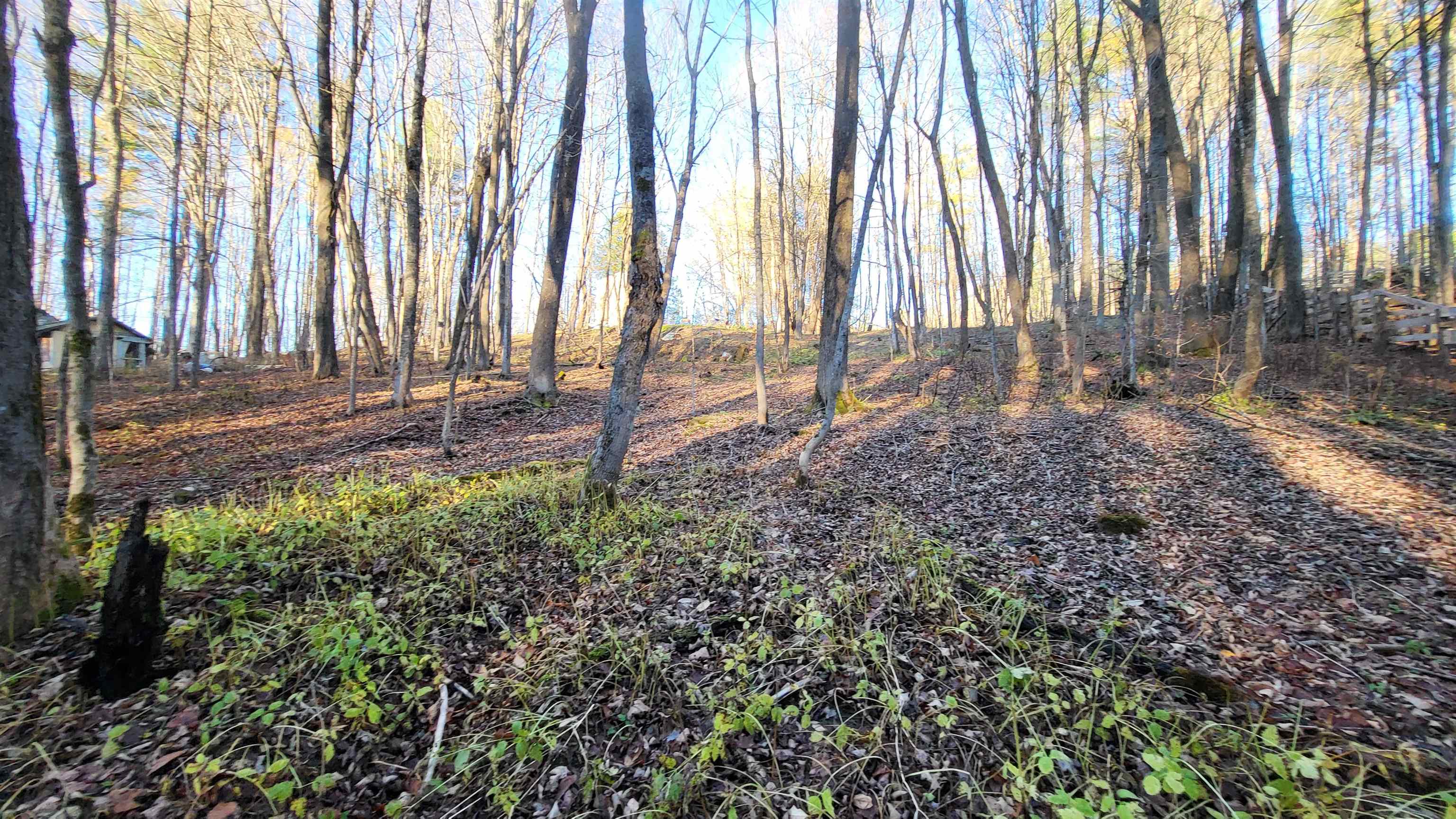 535 Collar Hill Road Property Photo 7