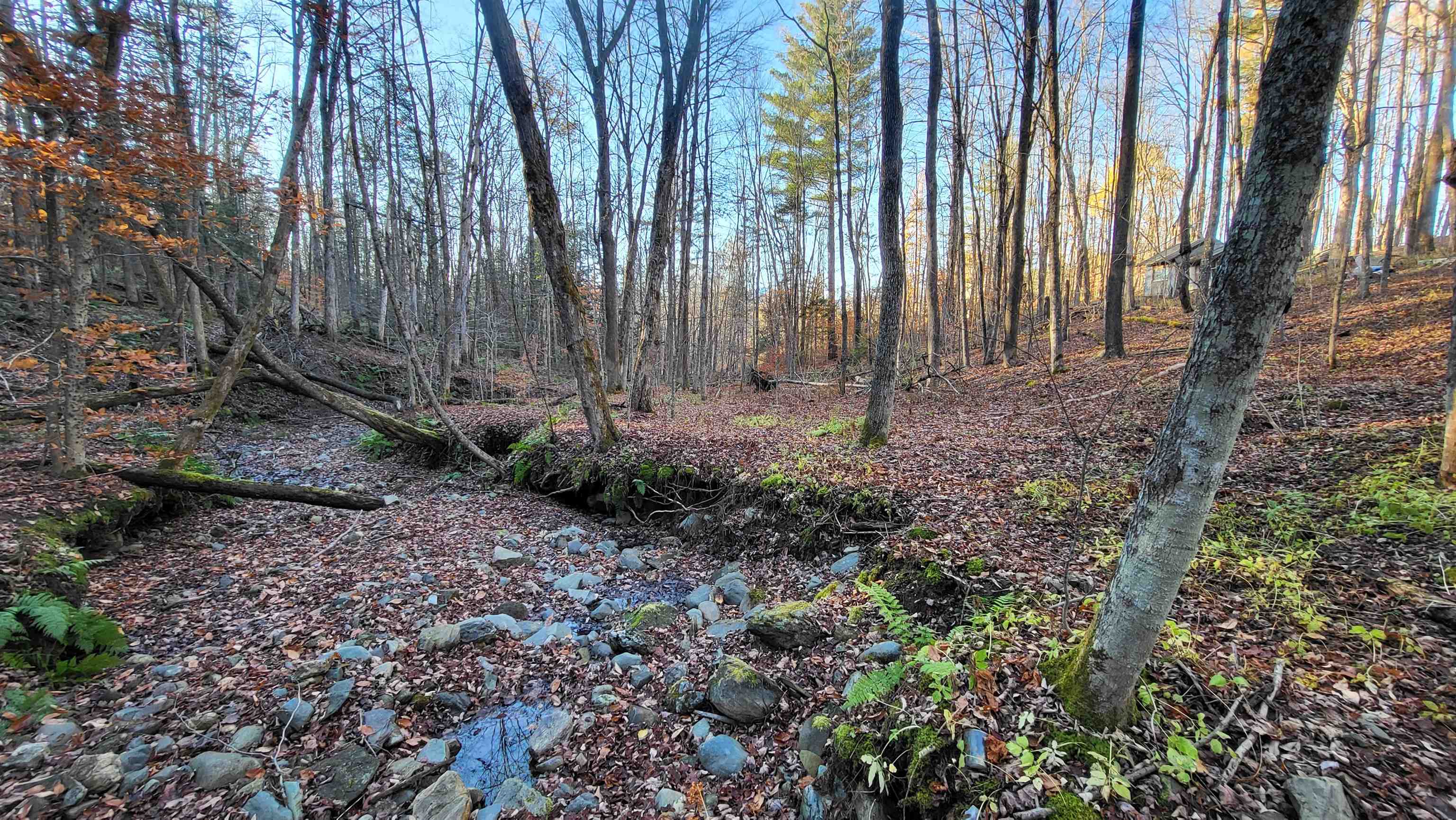535 Collar Hill Road Property Photo 8