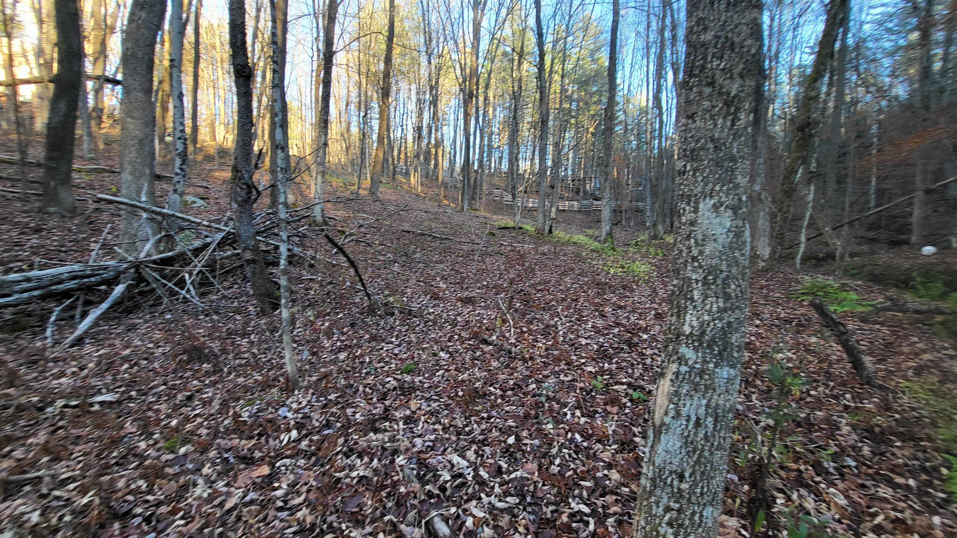 535 Collar Hill Road Property Photo 9