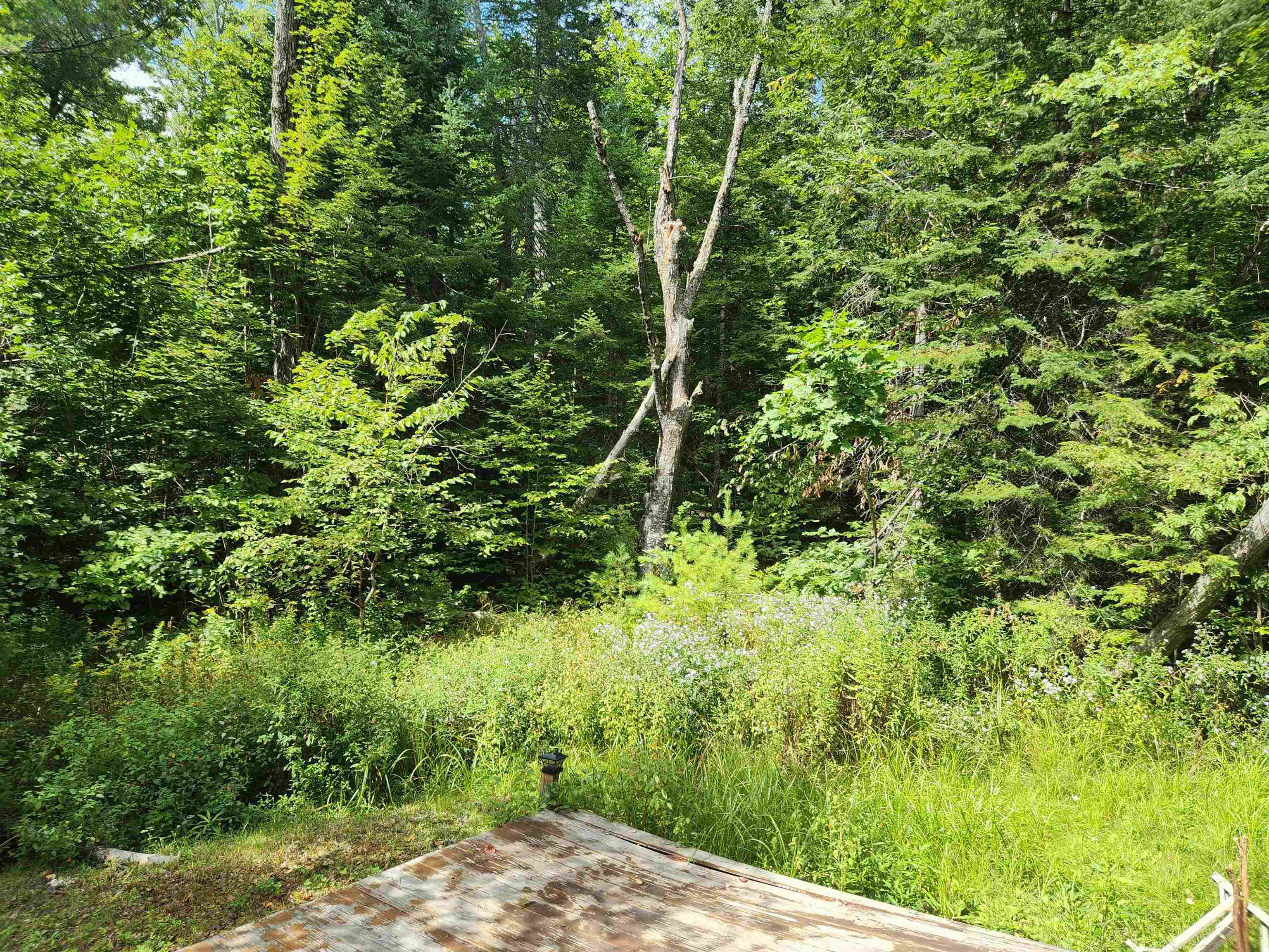 1524 Bald Hill Road Property Photo 11