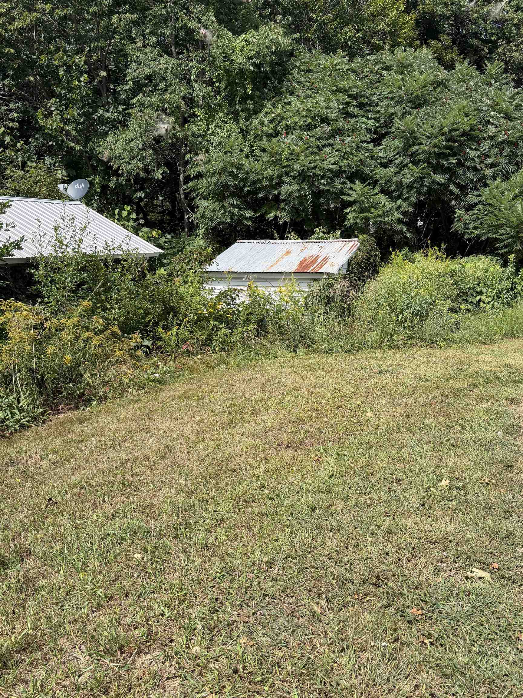 45 Myrtle Street Property Photo 11