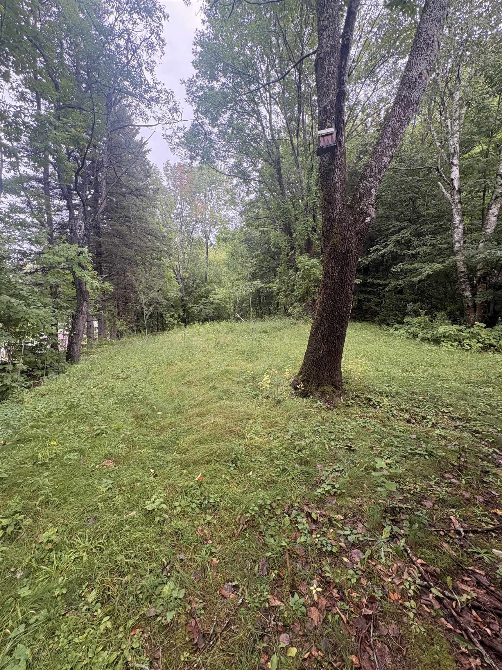 246 Bridge Street Property Photo 16