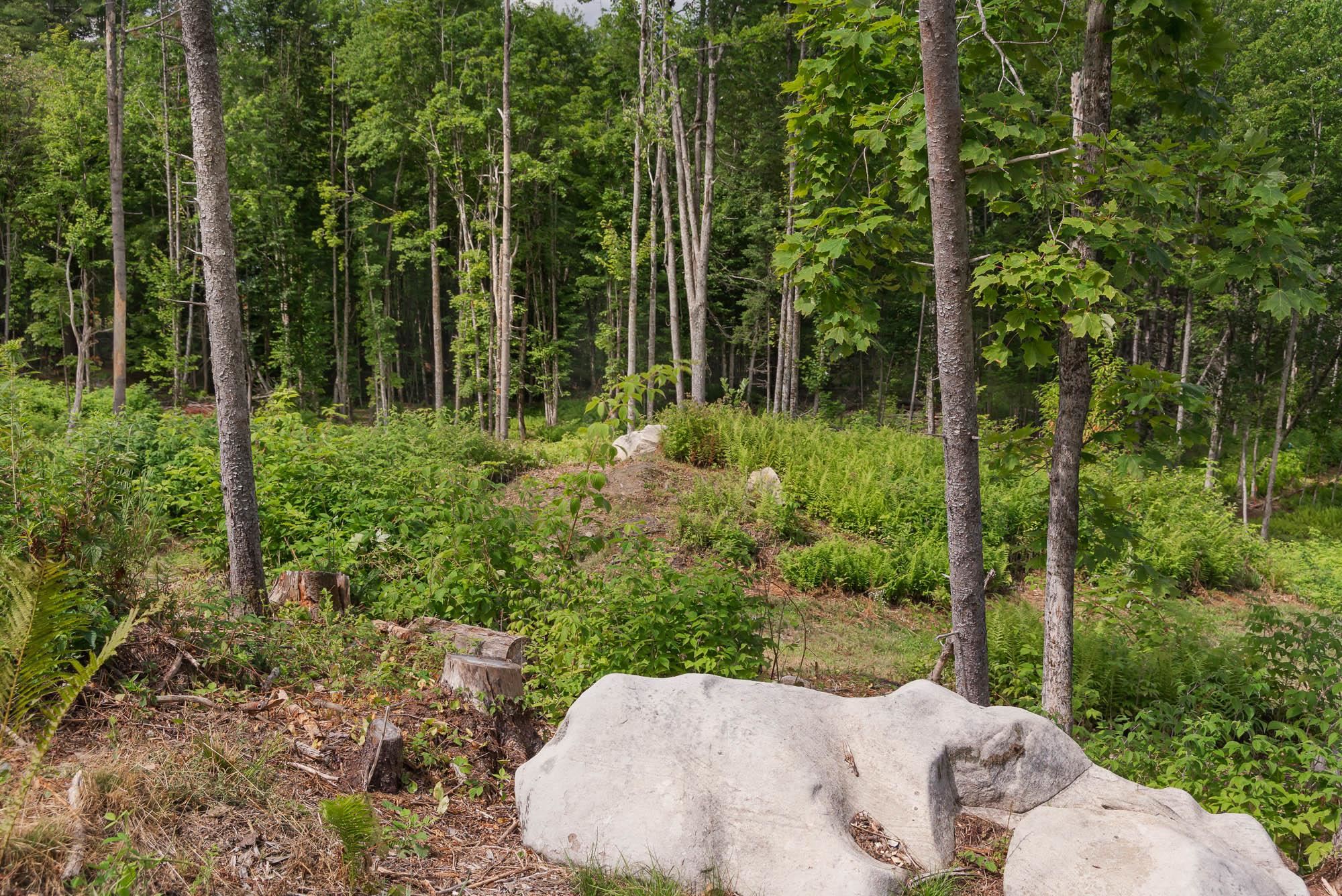 249 Weber Brook Lane Property Photo 1