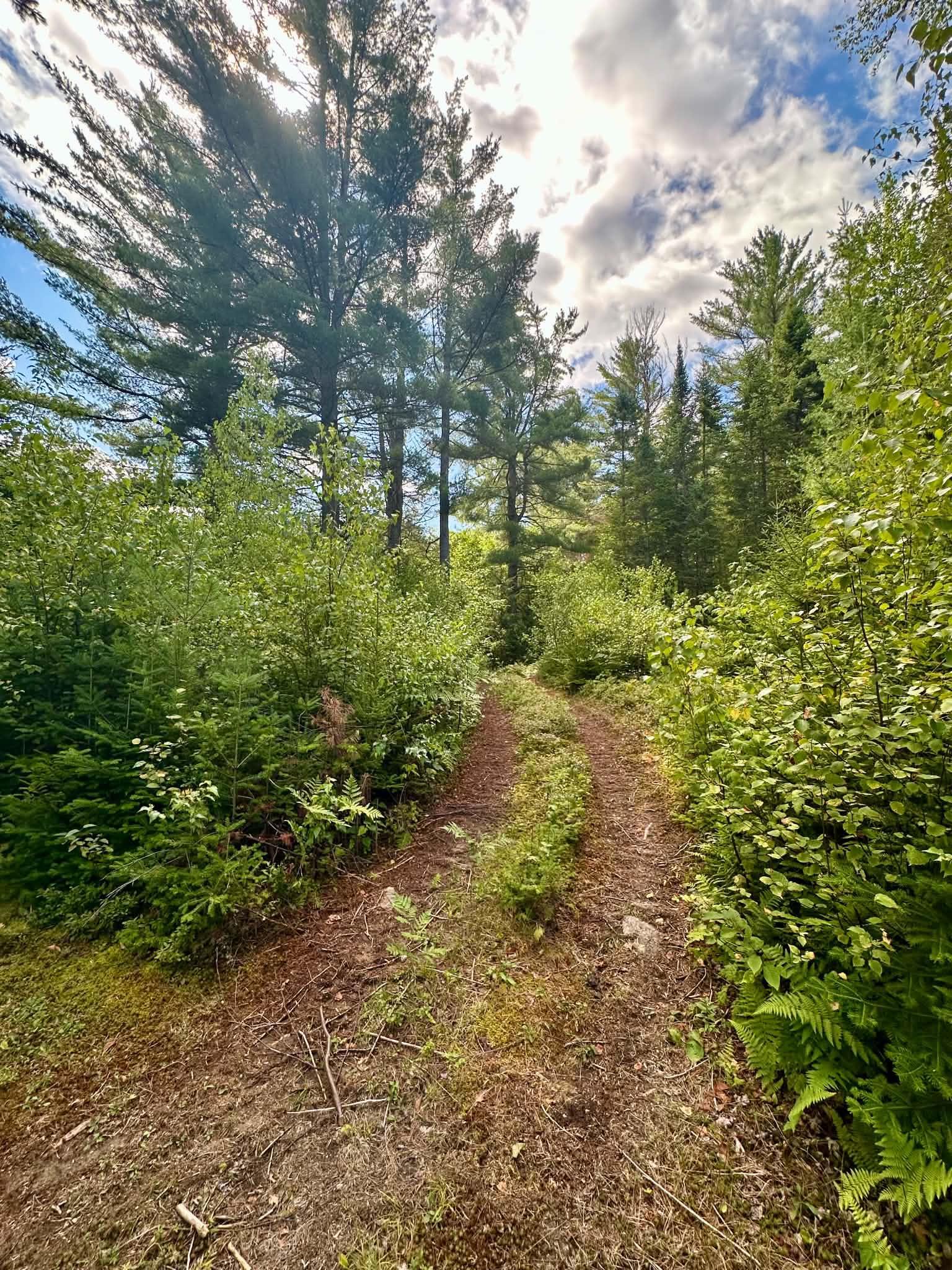 5077 Vt Route 105 Property Photo 16