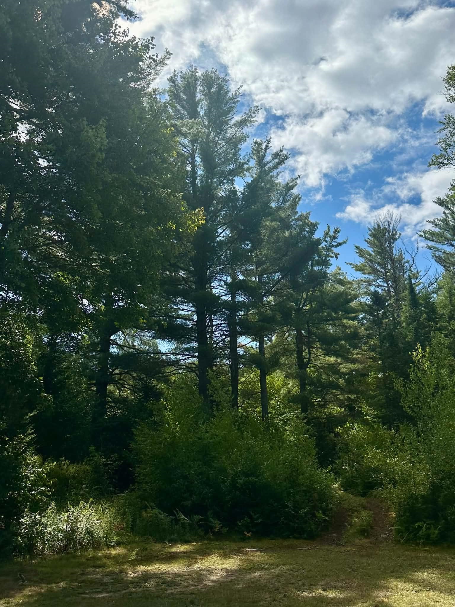 5077 Vt Route 105 Property Photo 19