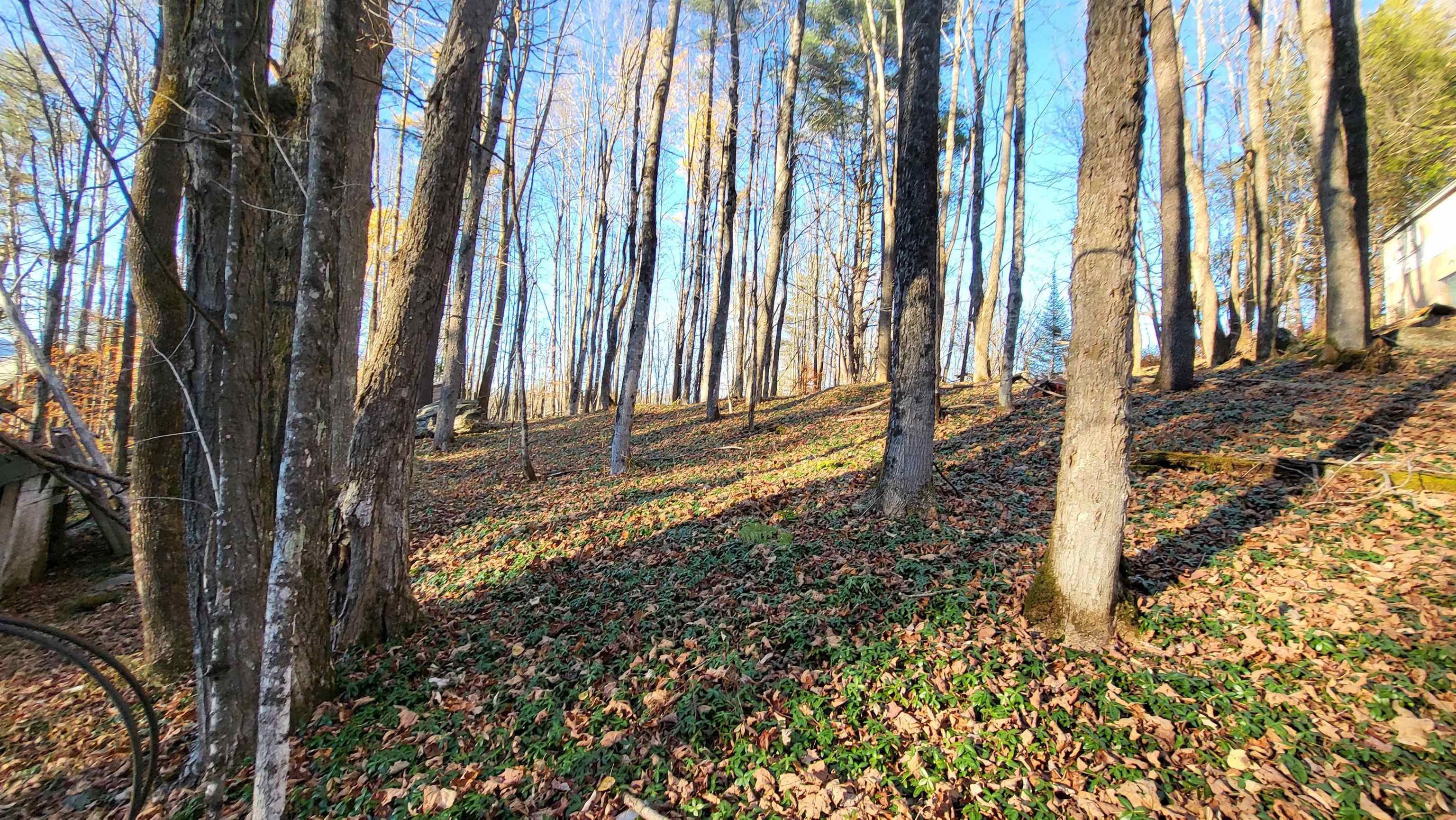 535 Collar Hill Road Property Photo 1