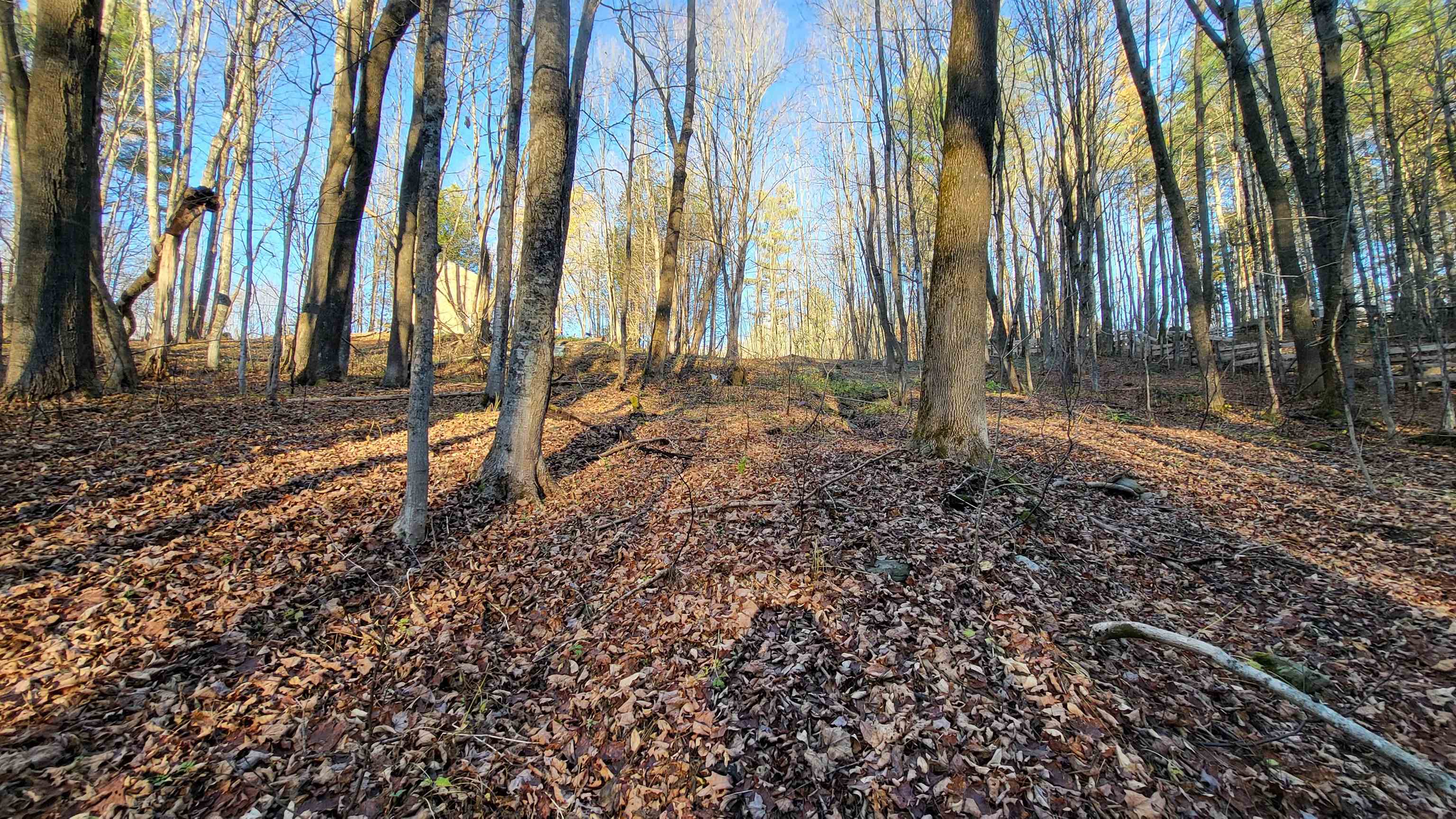 535 Collar Hill Road Property Photo 3