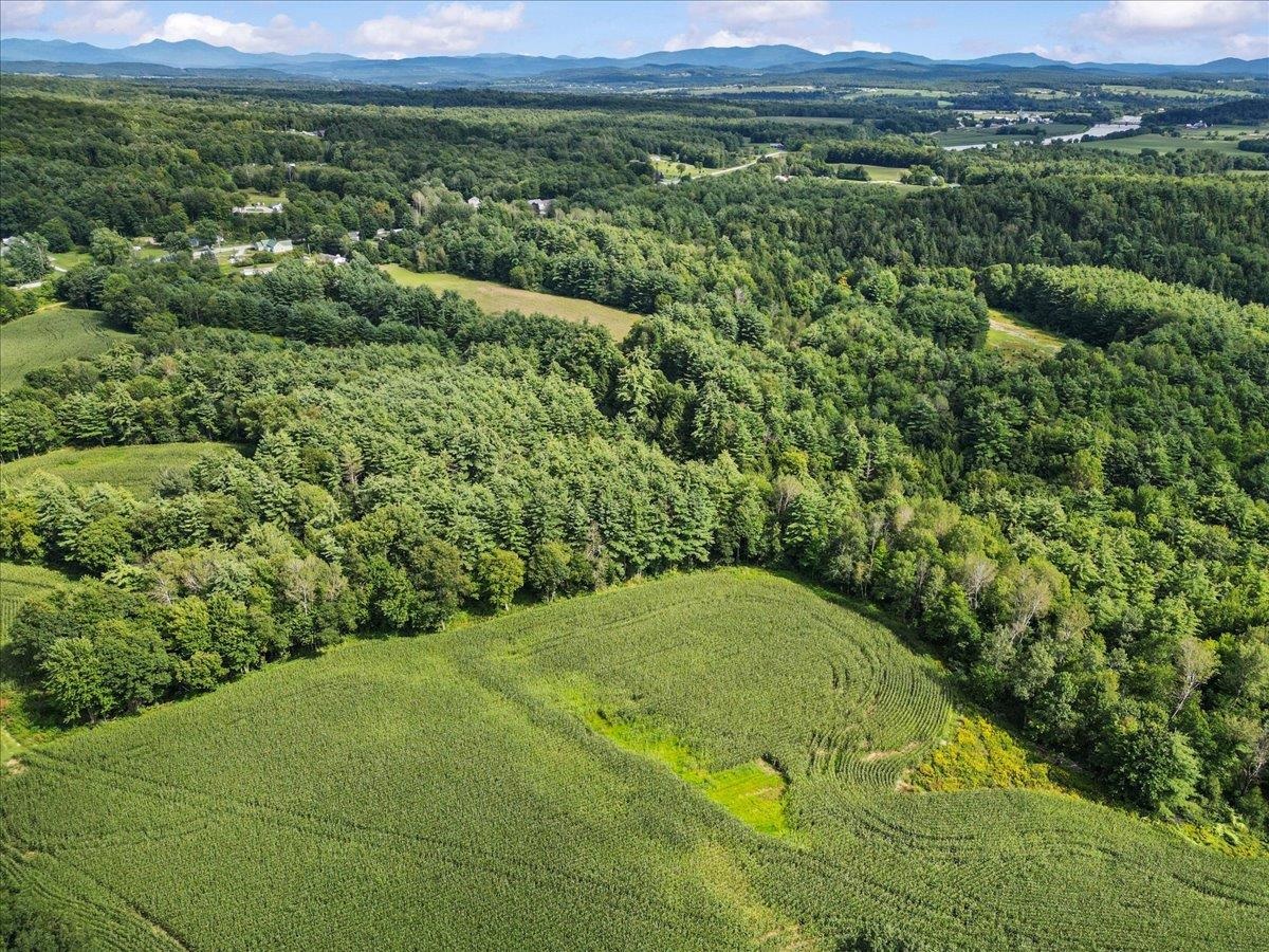 1779 Route 78 Property Photo 9