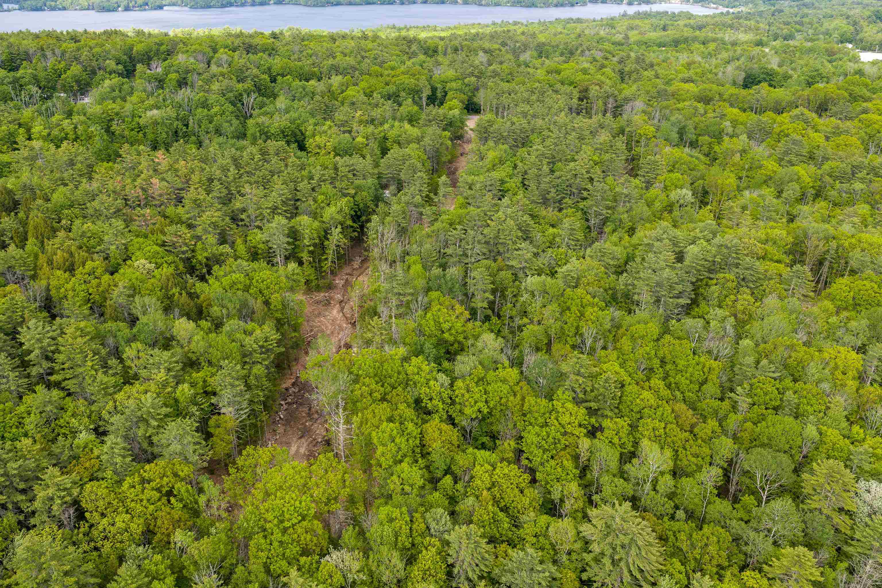Lot 6 Winona Road Property Photo 9