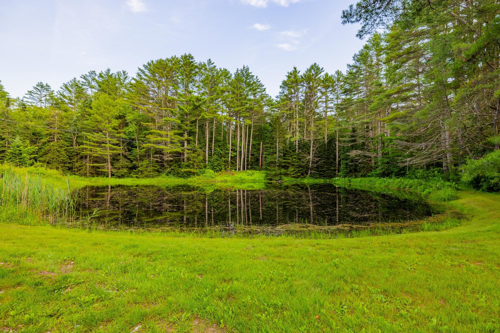231 Vt Route 100 Property Photo 38