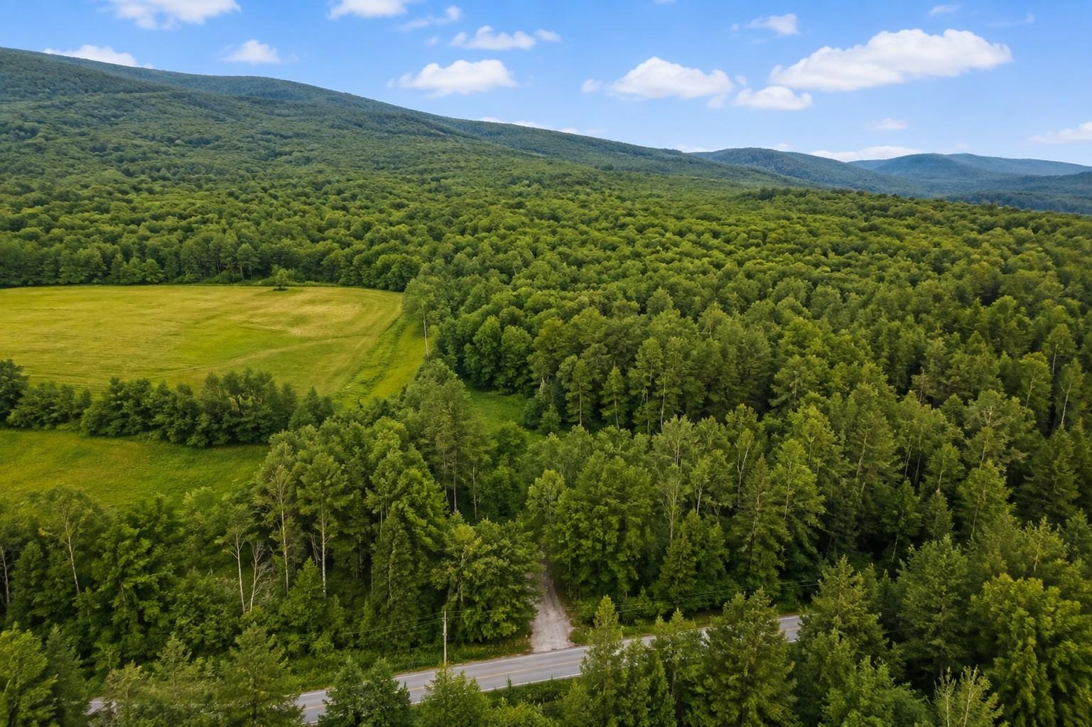231 Vt Route 100 Property Photo 41
