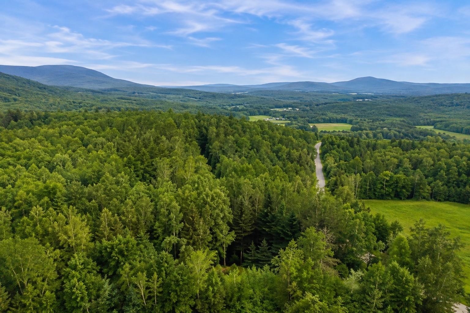 231 Vt Route 100 Property Photo 42
