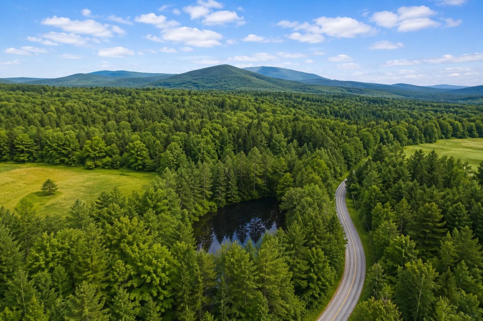 231 Vt Route 100 Property Photo 43