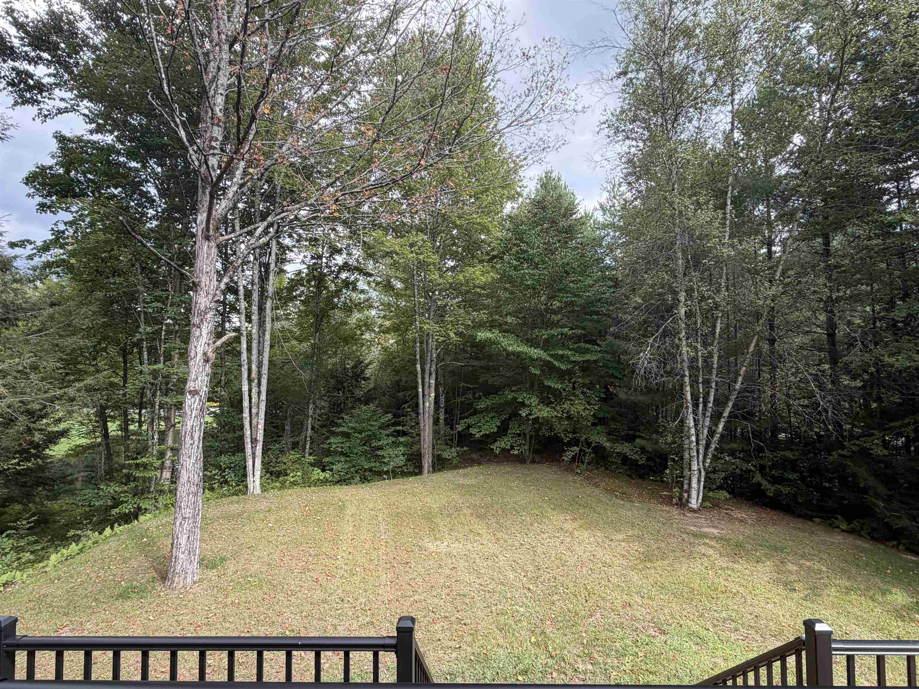341 Black Bear Run Property Photo 9