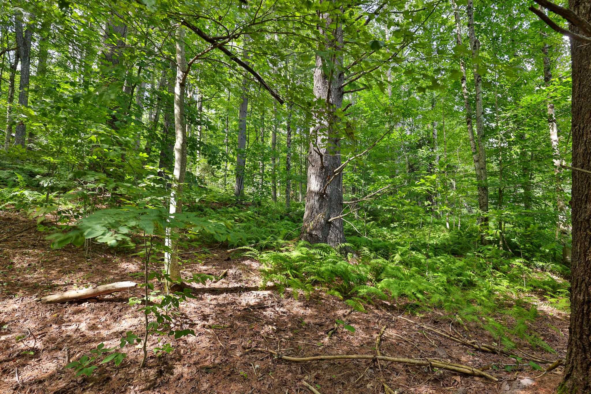 100 Hawk Trail Property Photo 6