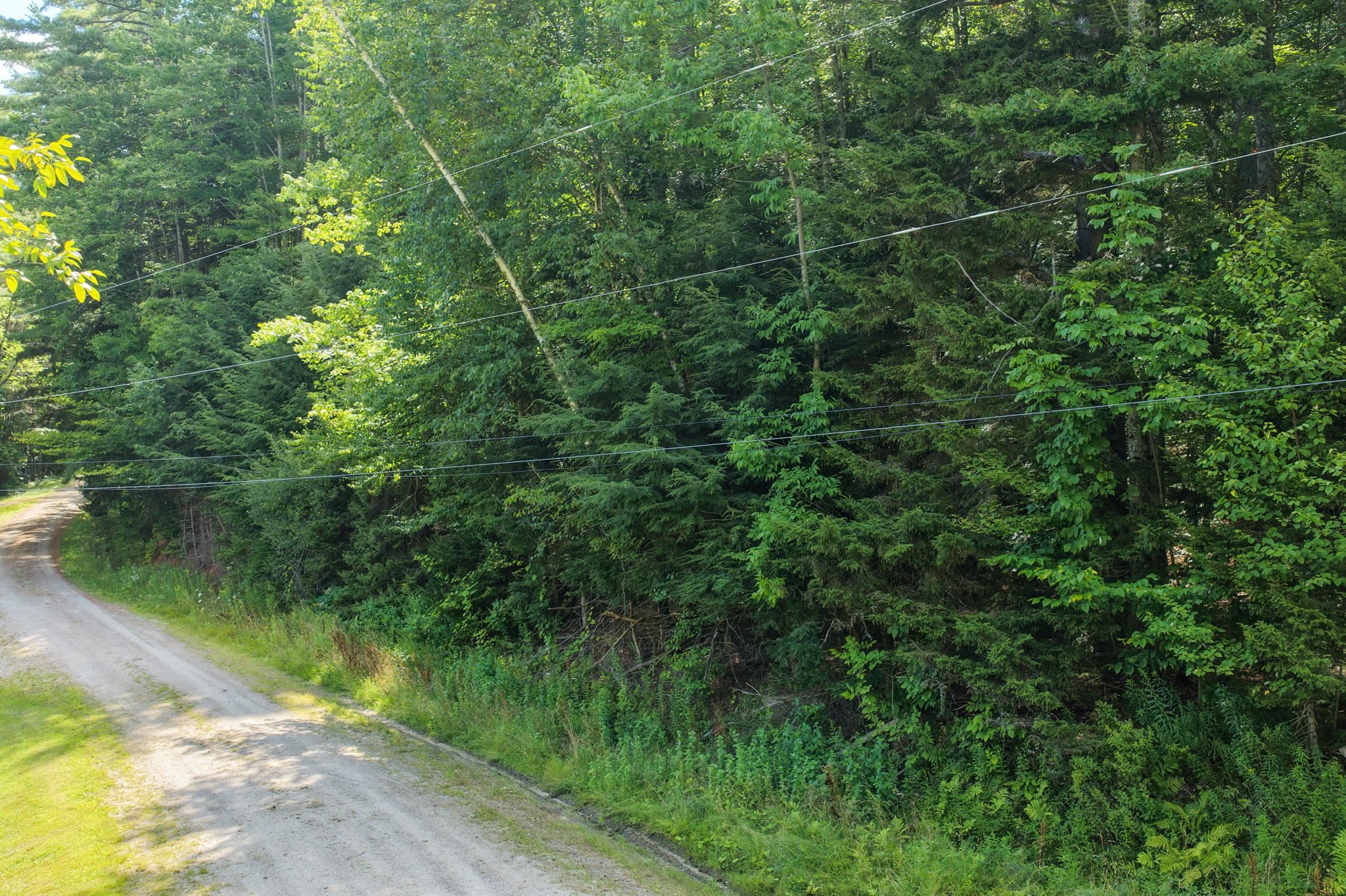 100 Hawk Trail Property Photo 7